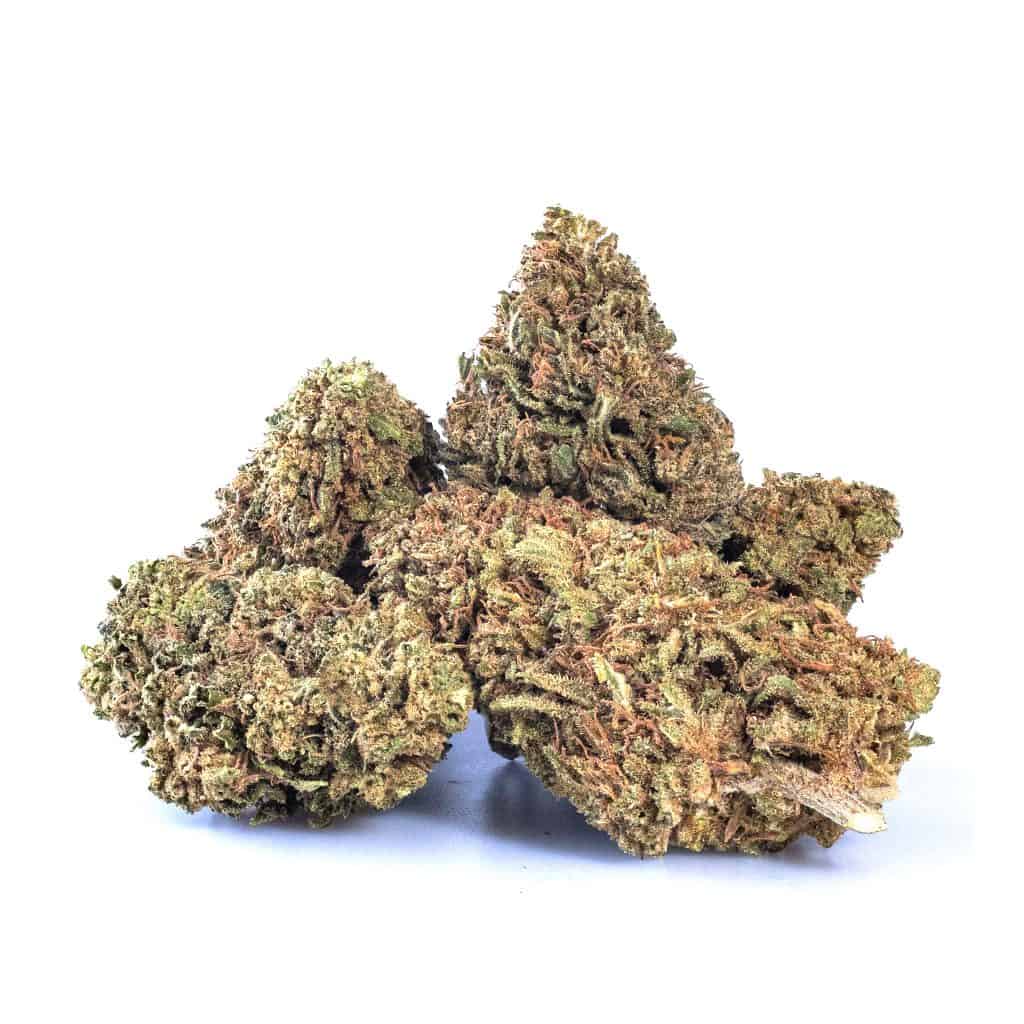 Wholesale CBD Flower Best Tasting Bulk CBD Flower 100/lb.
