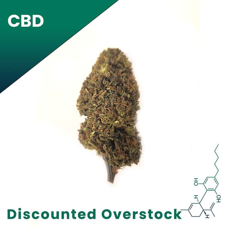 Wholesale CBD Flower Best Tasting Bulk CBD Flower 100/lb.