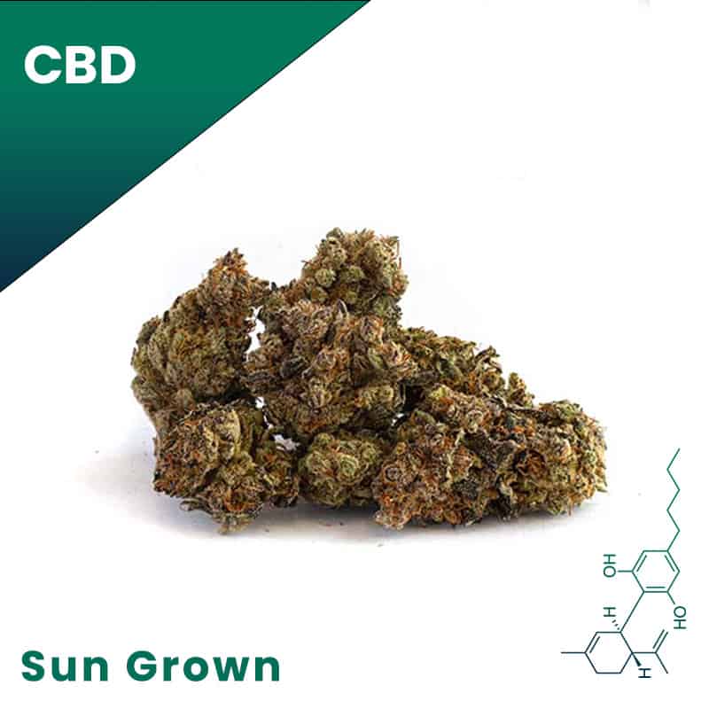 Wholesale CBD Flower Best Tasting Bulk CBD Flower 100/lb.