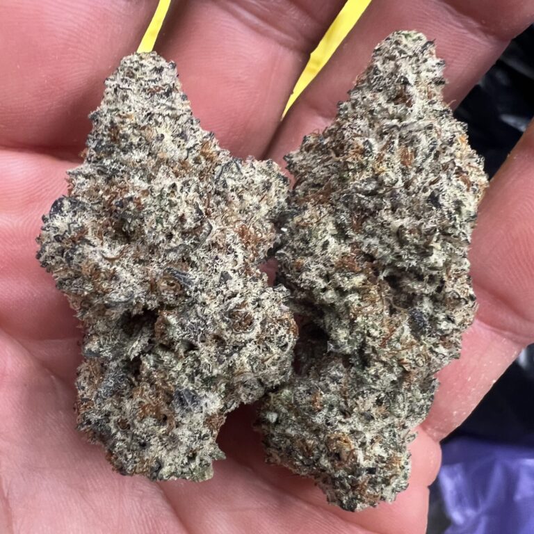 Black Ice Strain THCA Flower | Buy Bulk THCA Flower