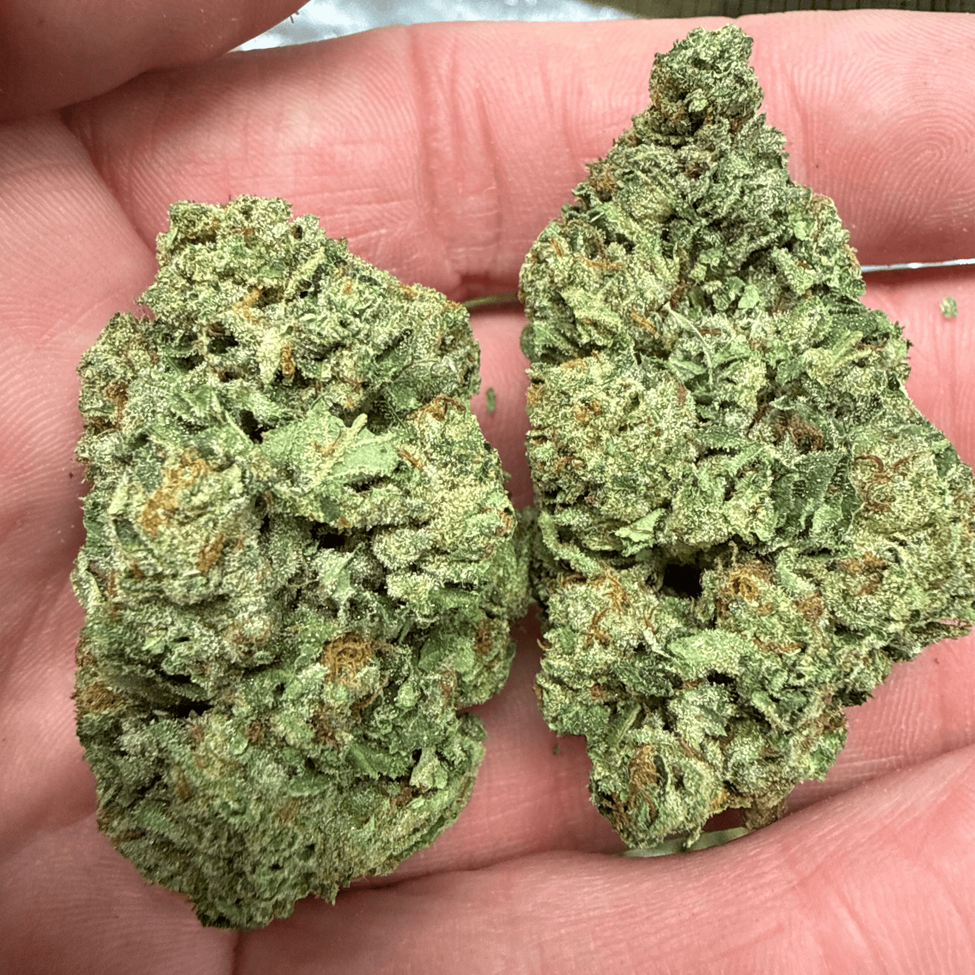 Lemon Cherry Gelato THCA Flower