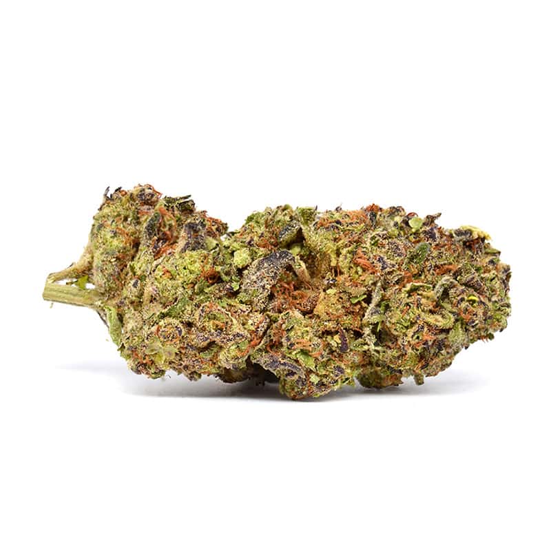 Lemon Cherry Gelato THCA Flower