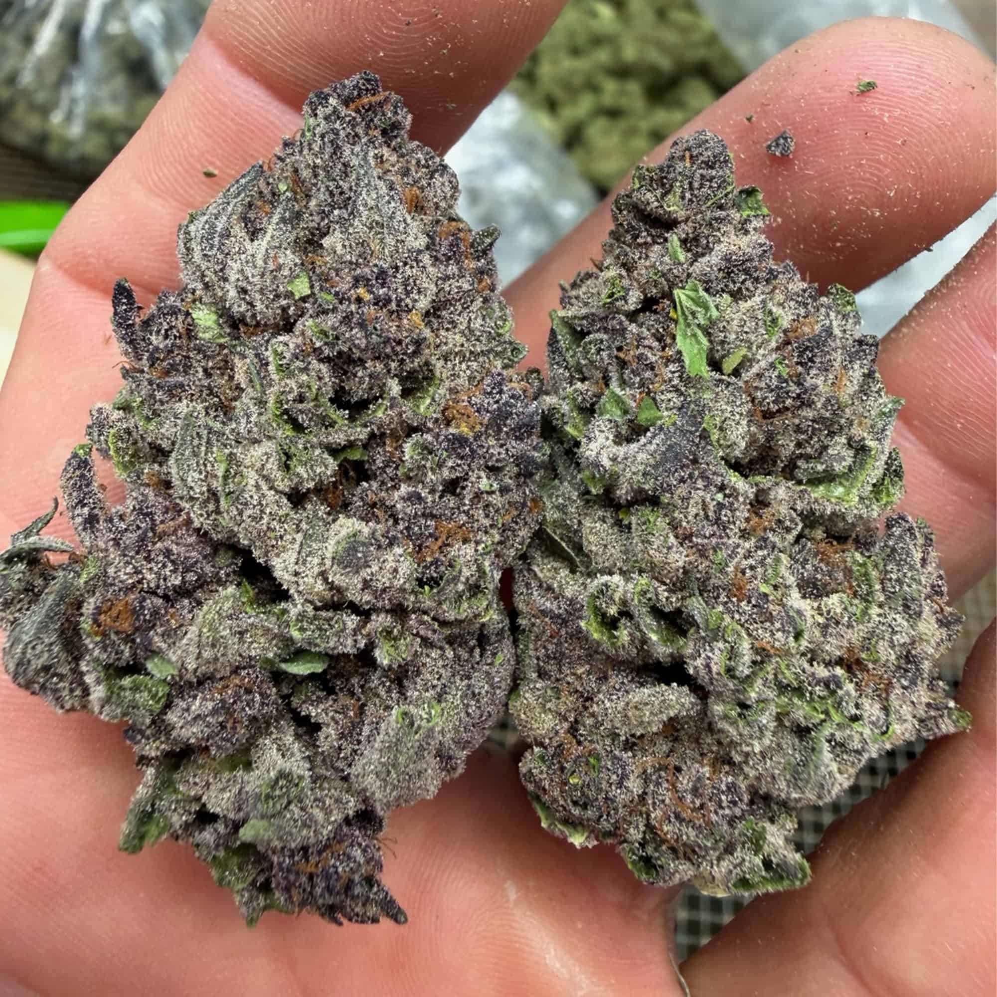 No Drama Llama THCA Flower Pounds