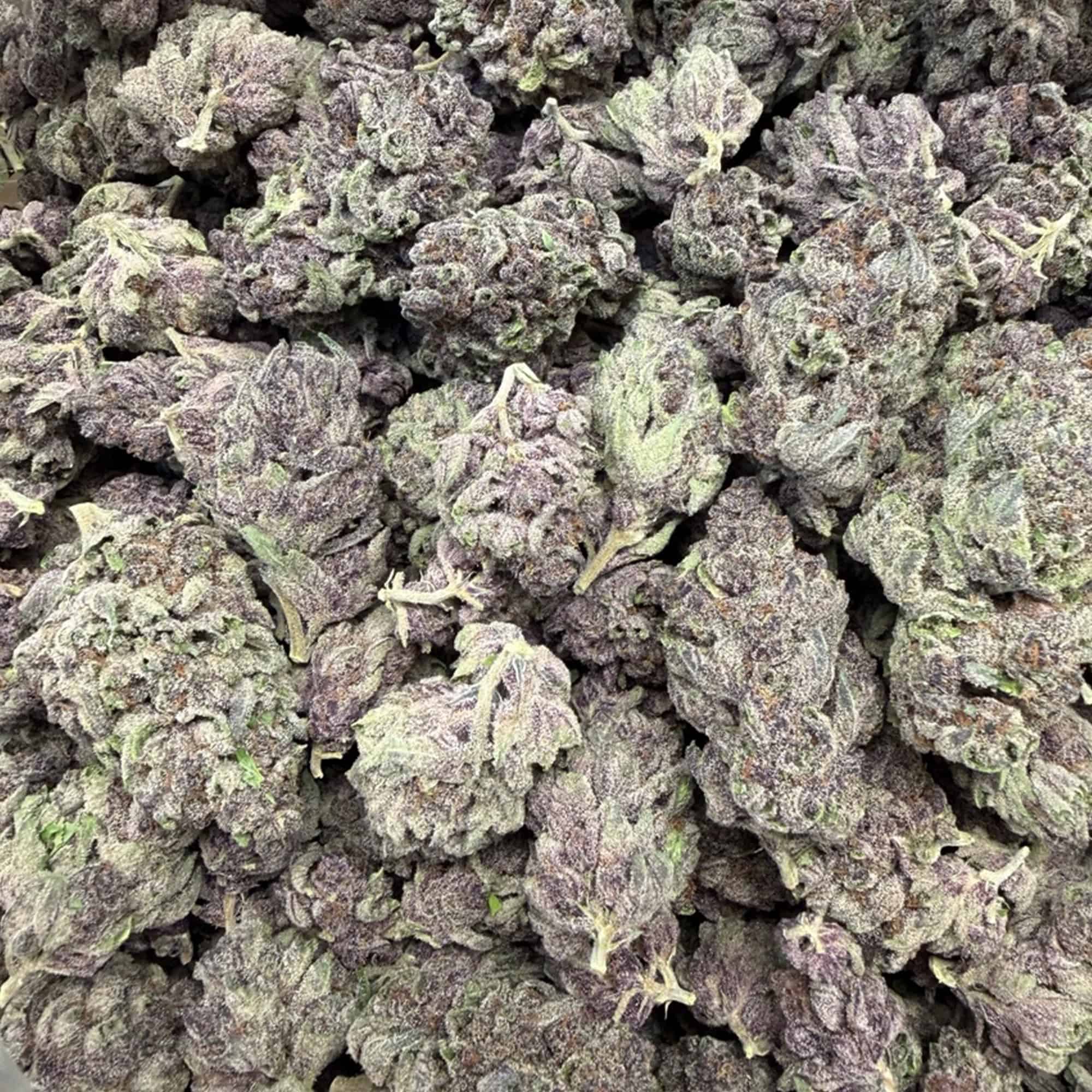 No Drama Llama THCA Flower Bulk