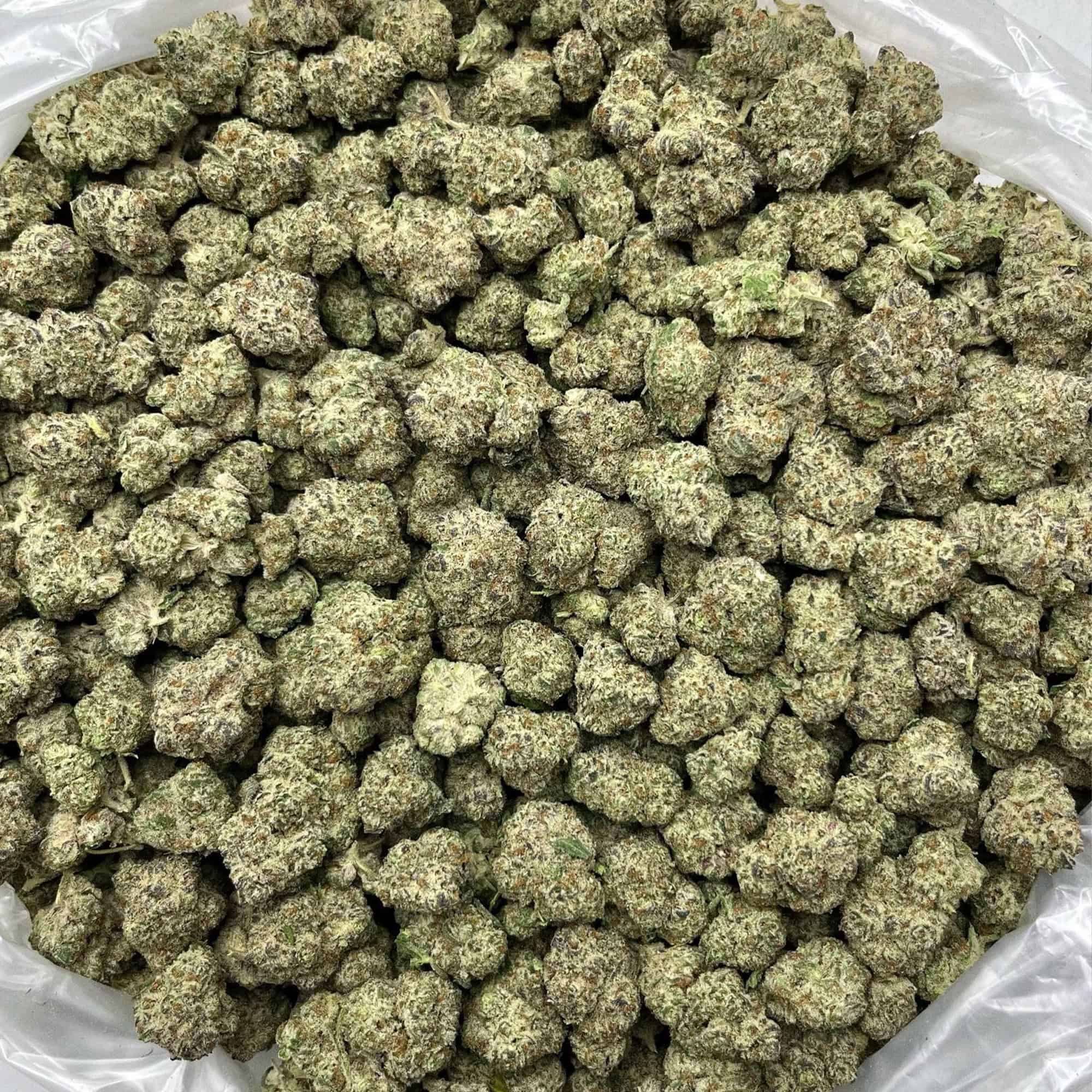 Oreoz THCA Flower Bulk Pounds