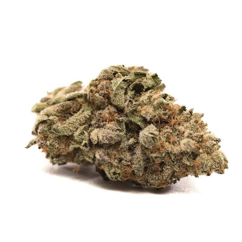 Quarantine Kush THCA Flower