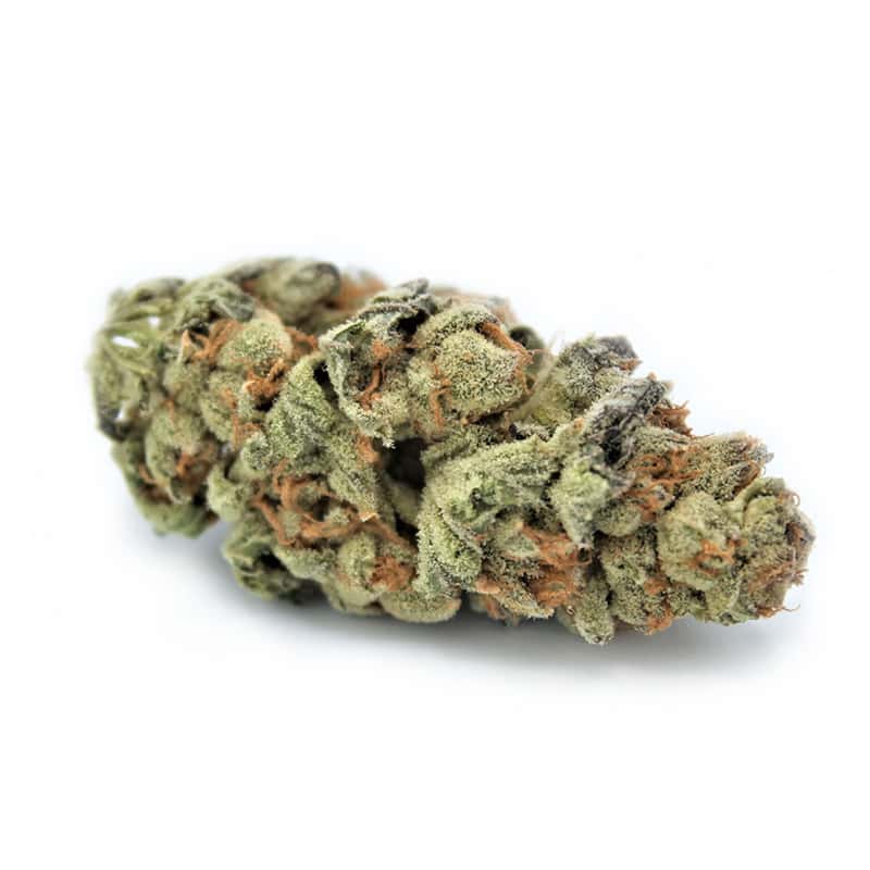 Super Buff Cherry THCA Flower