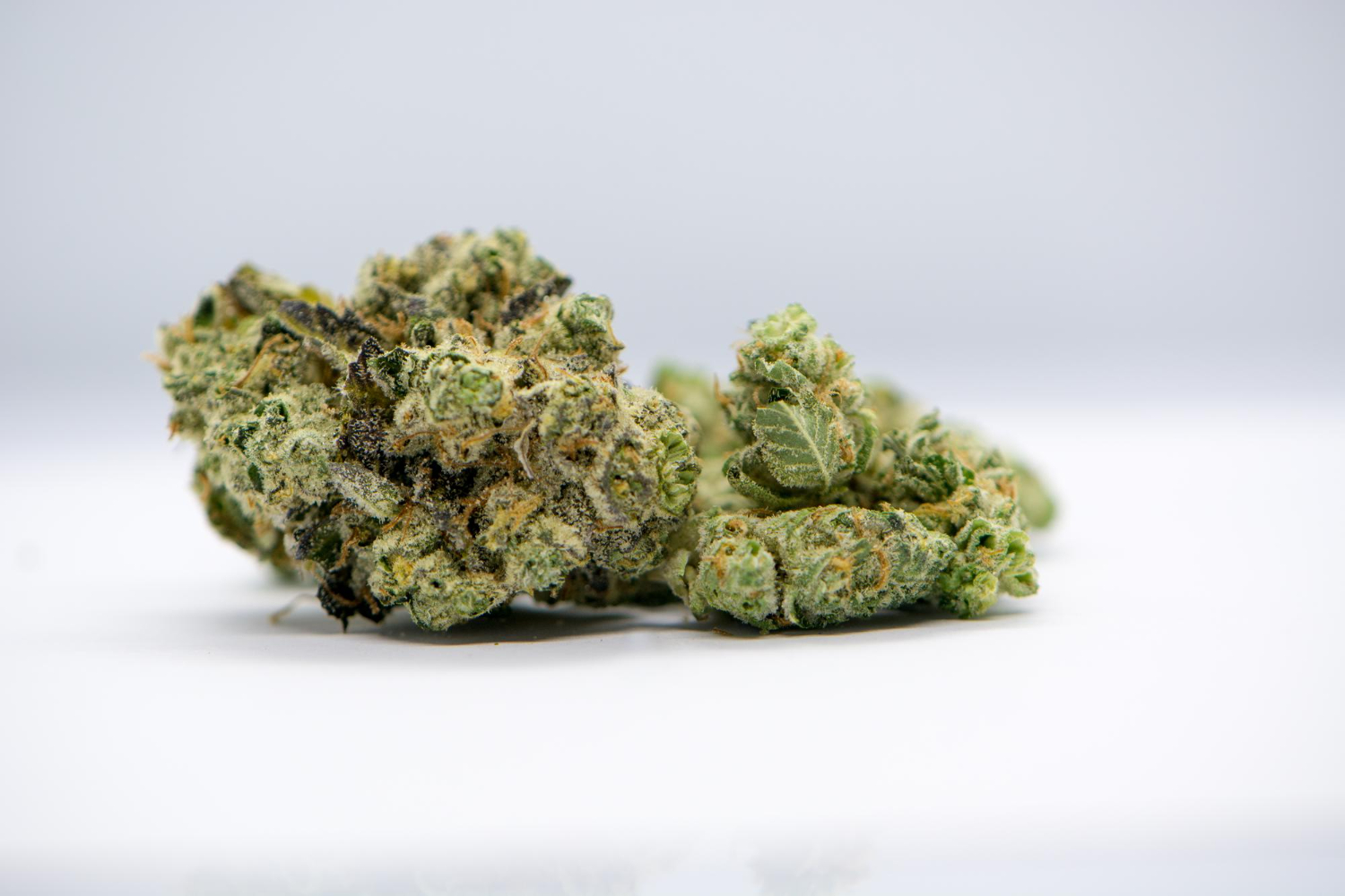 Banana Taffy Strain Review Team Elite Cannabis Flower