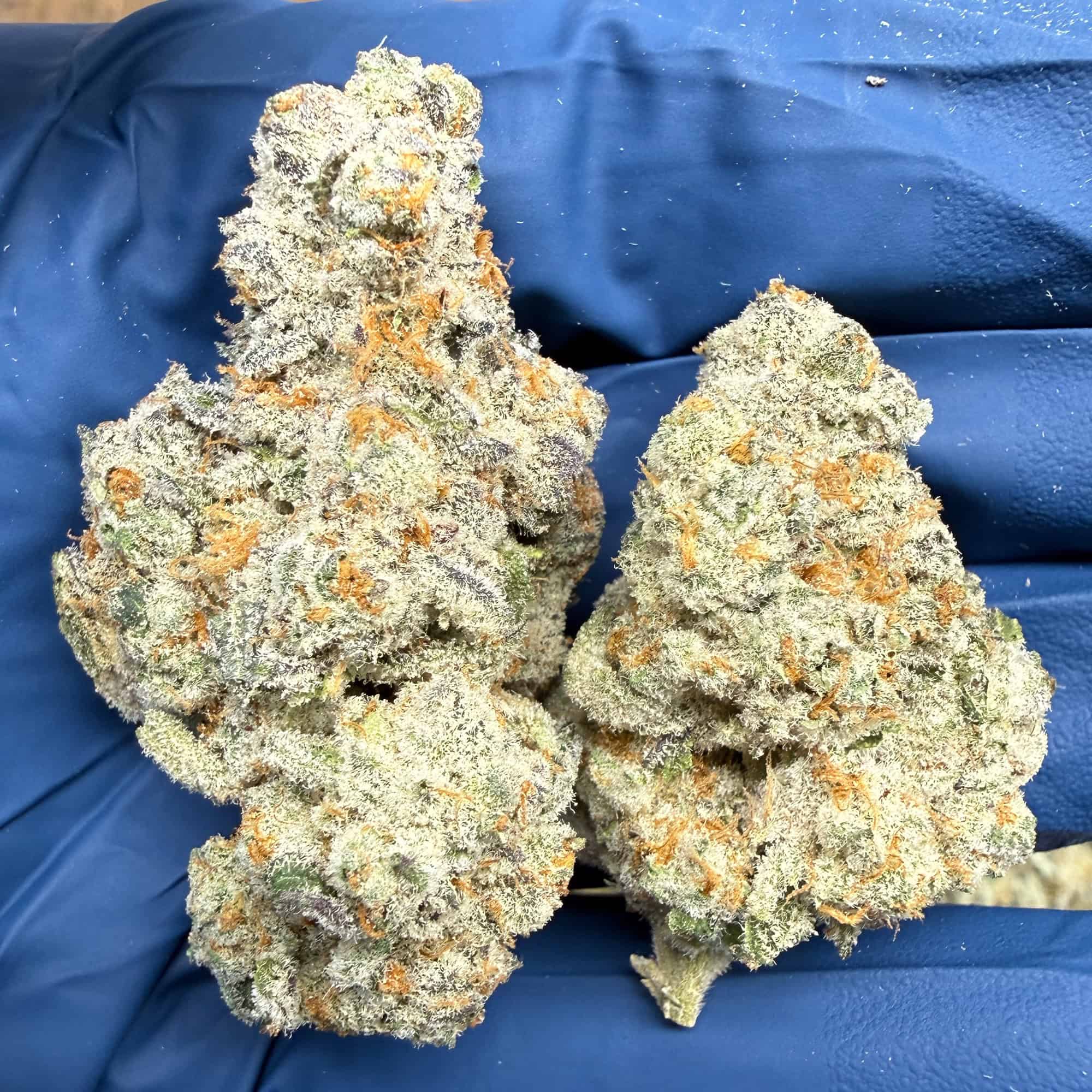 Cap Junky THCA Flower Pounds