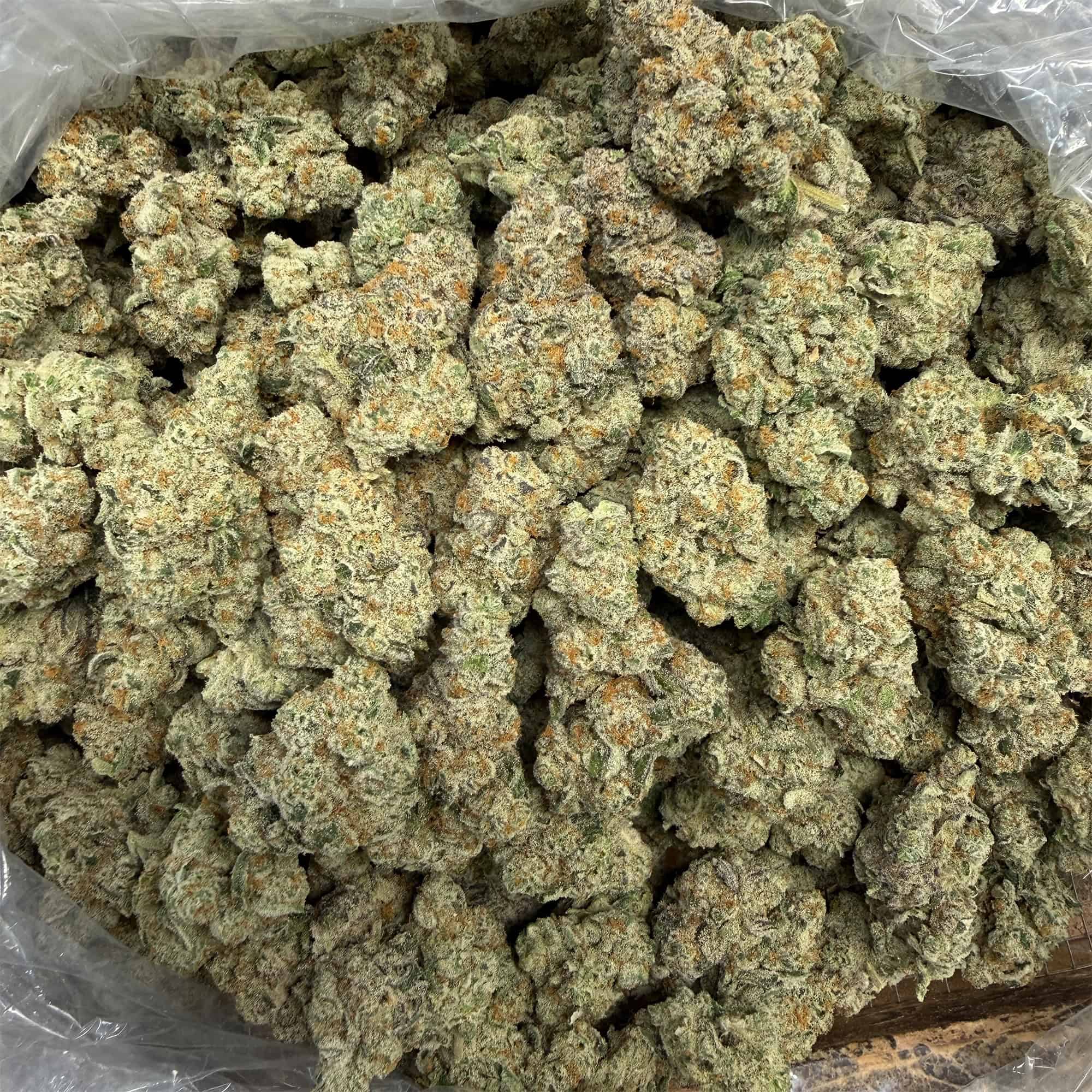 Cap Junky Wholesale THCA Flower Pounds