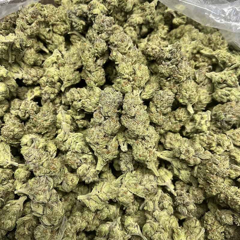 Super Buff Cherry Bulk THCA Flower