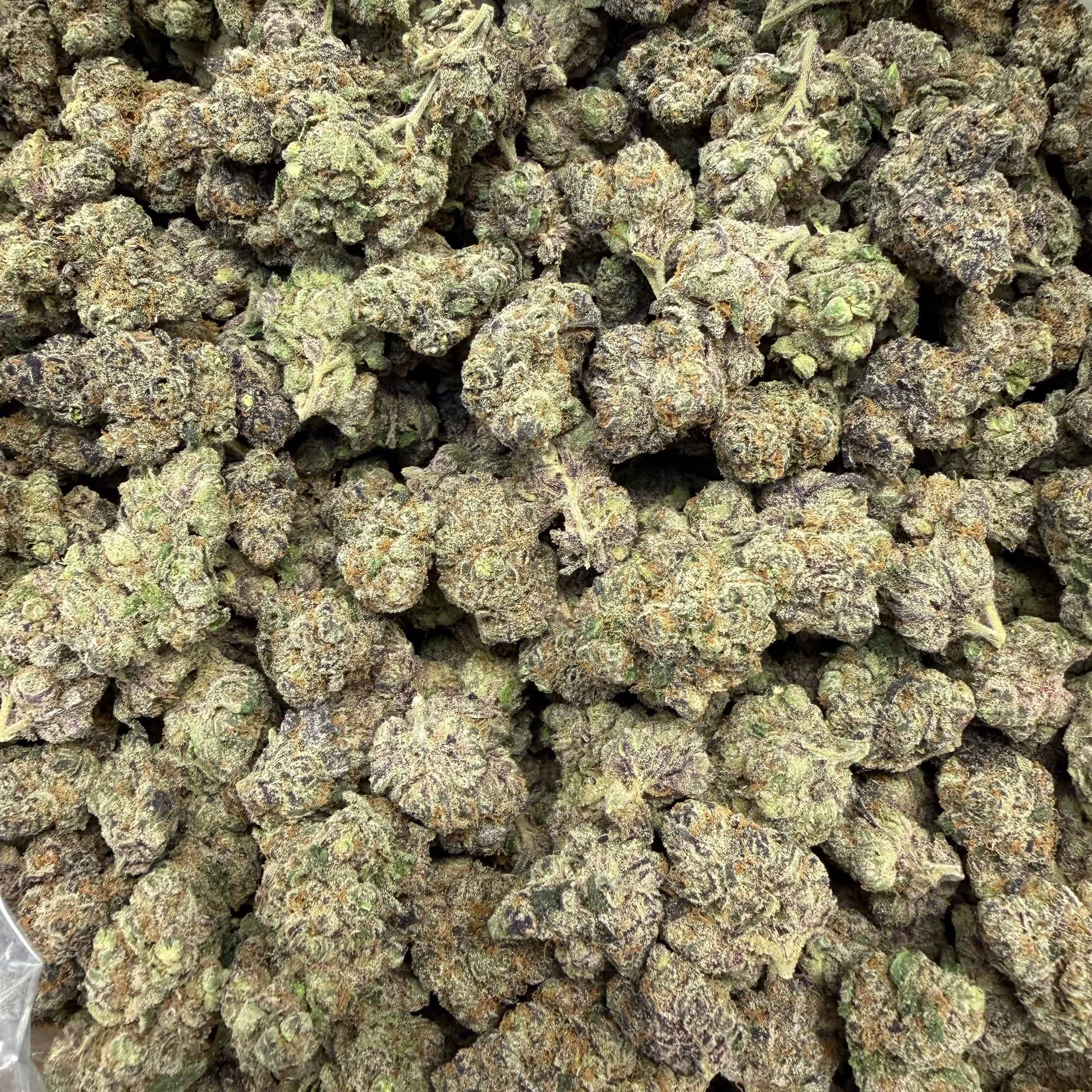 White Runtz THCA Flower Bulk