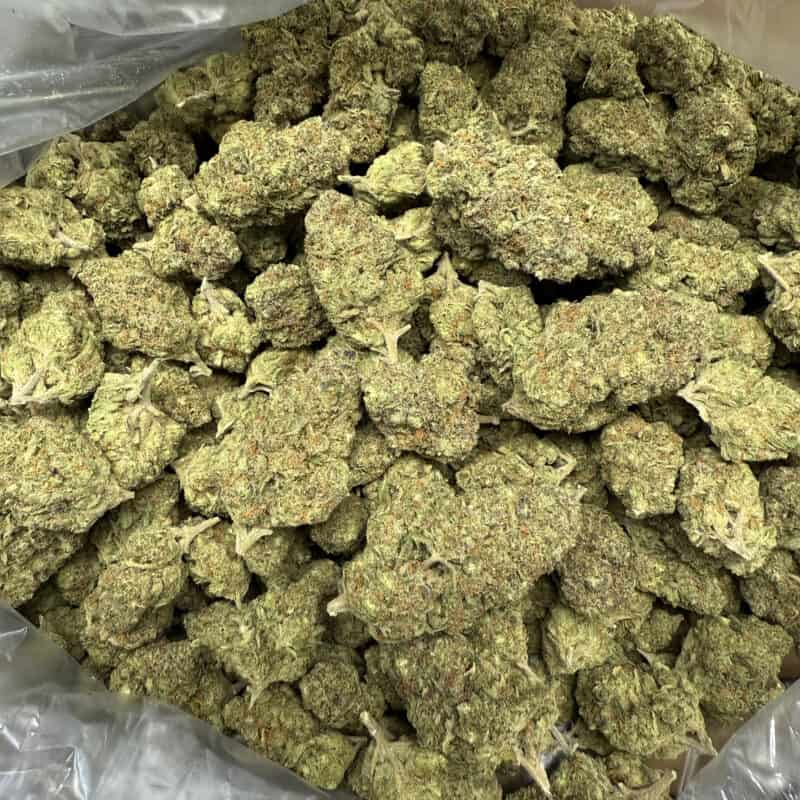 Sherbet THCA Flower Pounds for Sale
