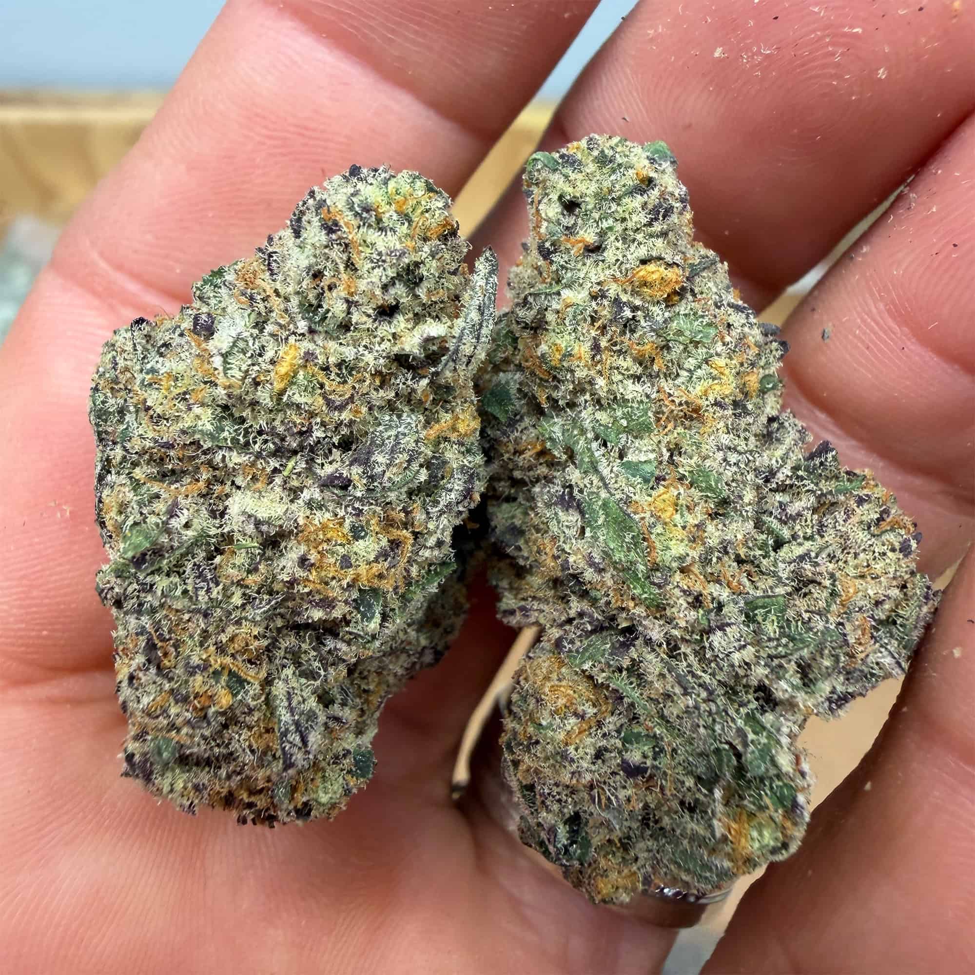 Chimera THCA Flower Pounds