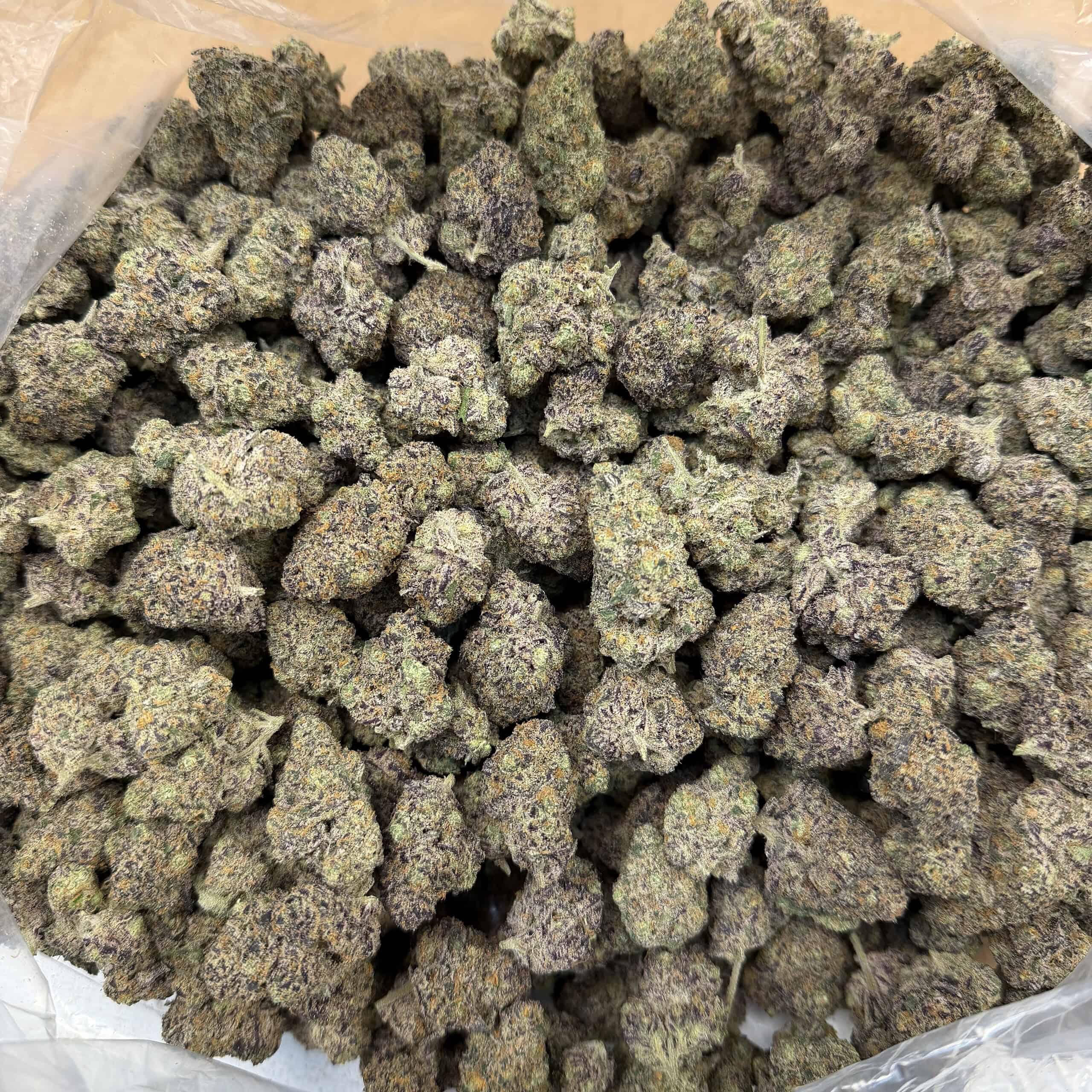 Chimera THCA Flower Wholesale Pounds
