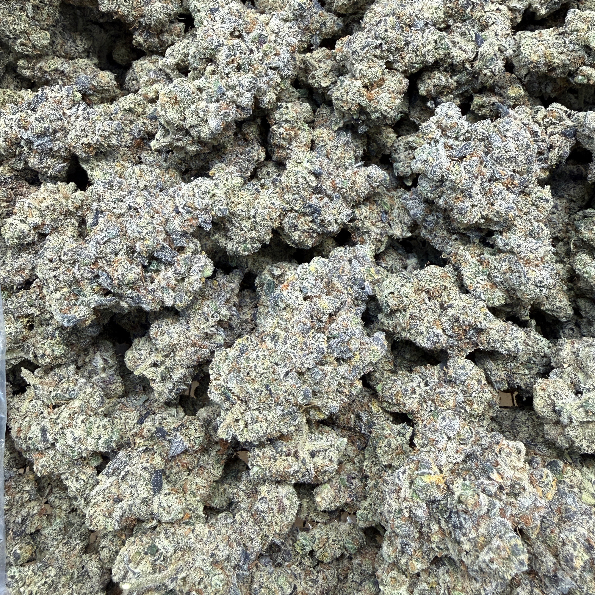 Pineapple Express THCA Flower Pounds 3-13