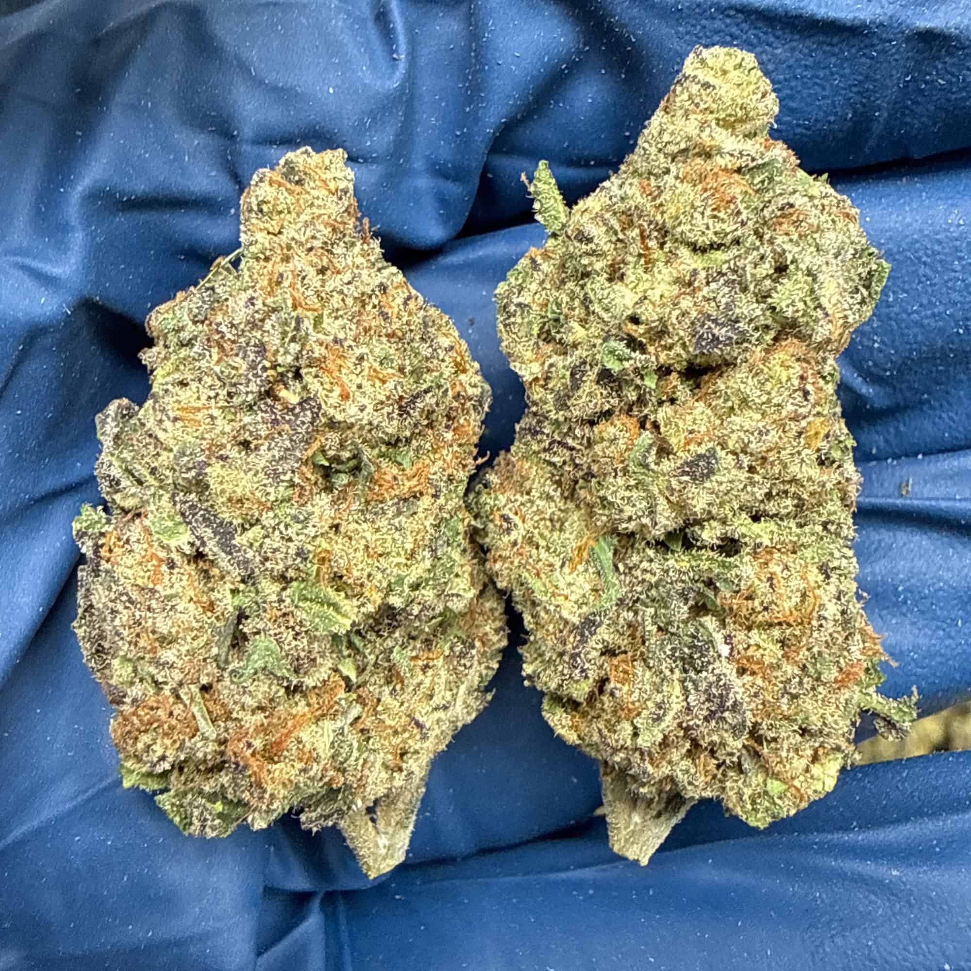 Rudeboi THCA Flower Pounds