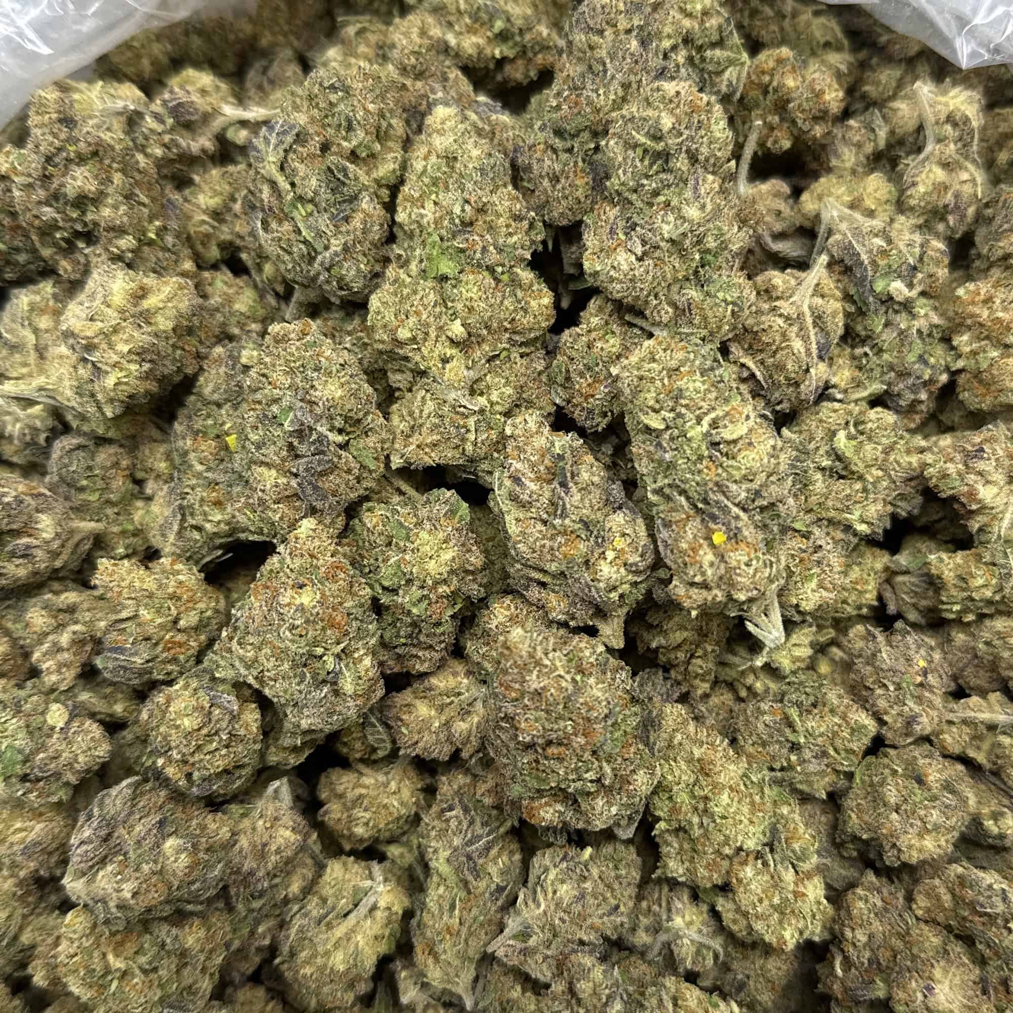Rudeboi THCA Flower Bulk Wholesale