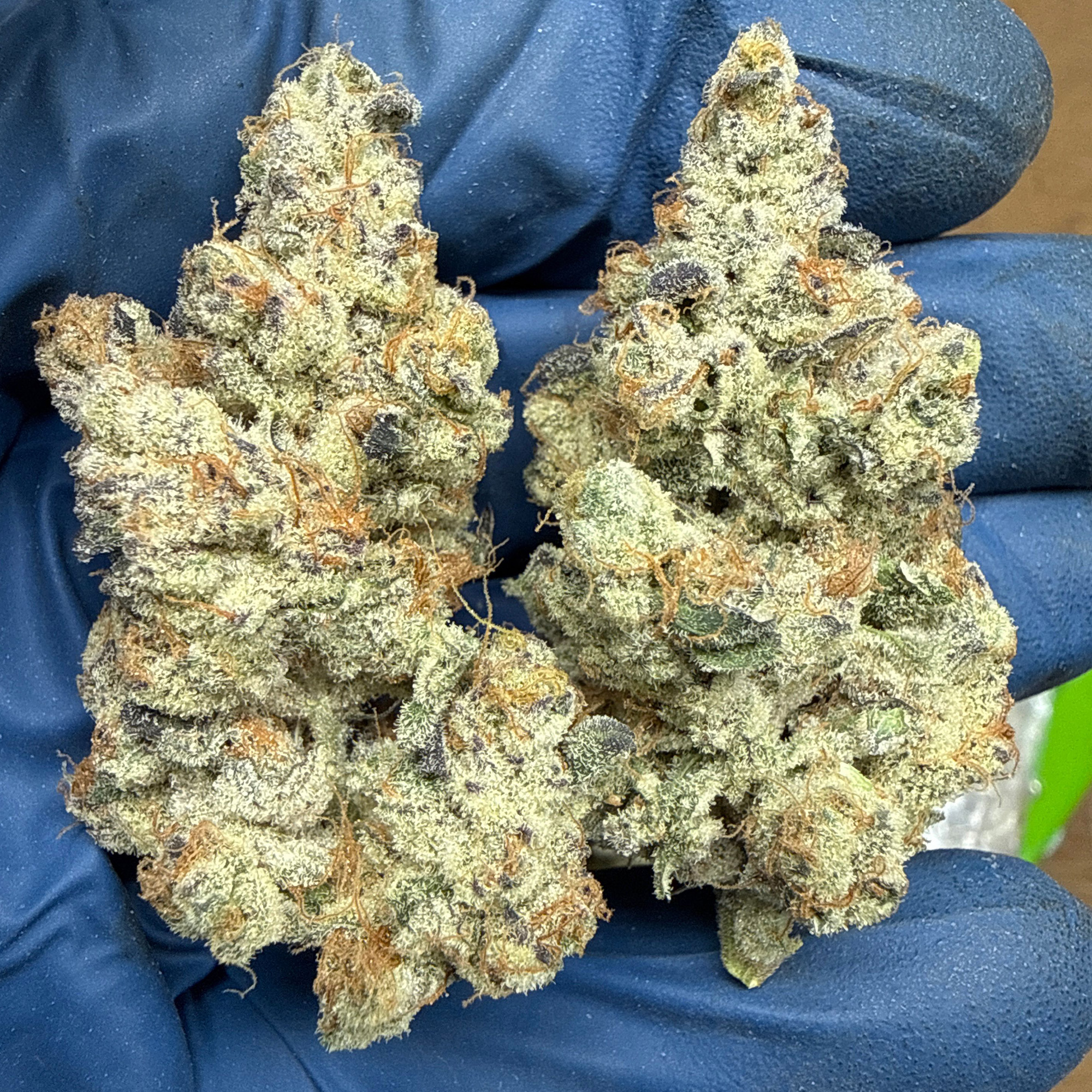 Blueberry THCA Flower Pounds