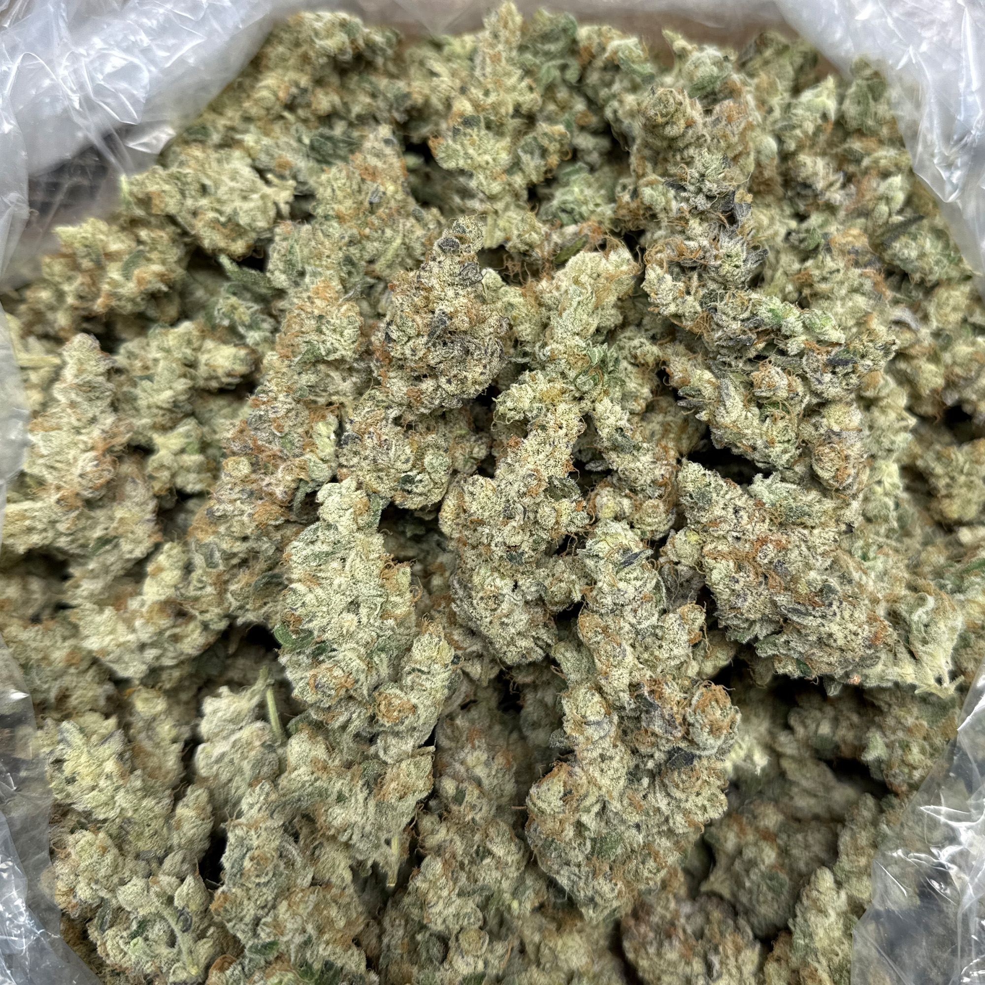 Blueberry THCA Flower Bulk