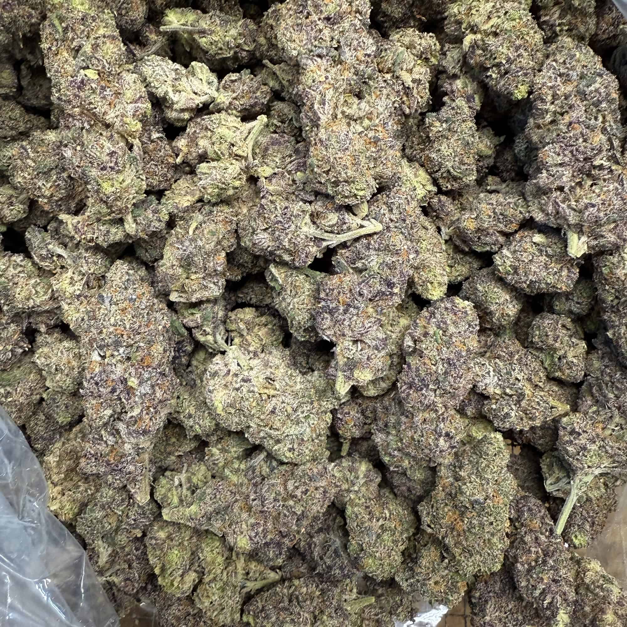 Gelato 45 THCA Flower Wholesale Bulk