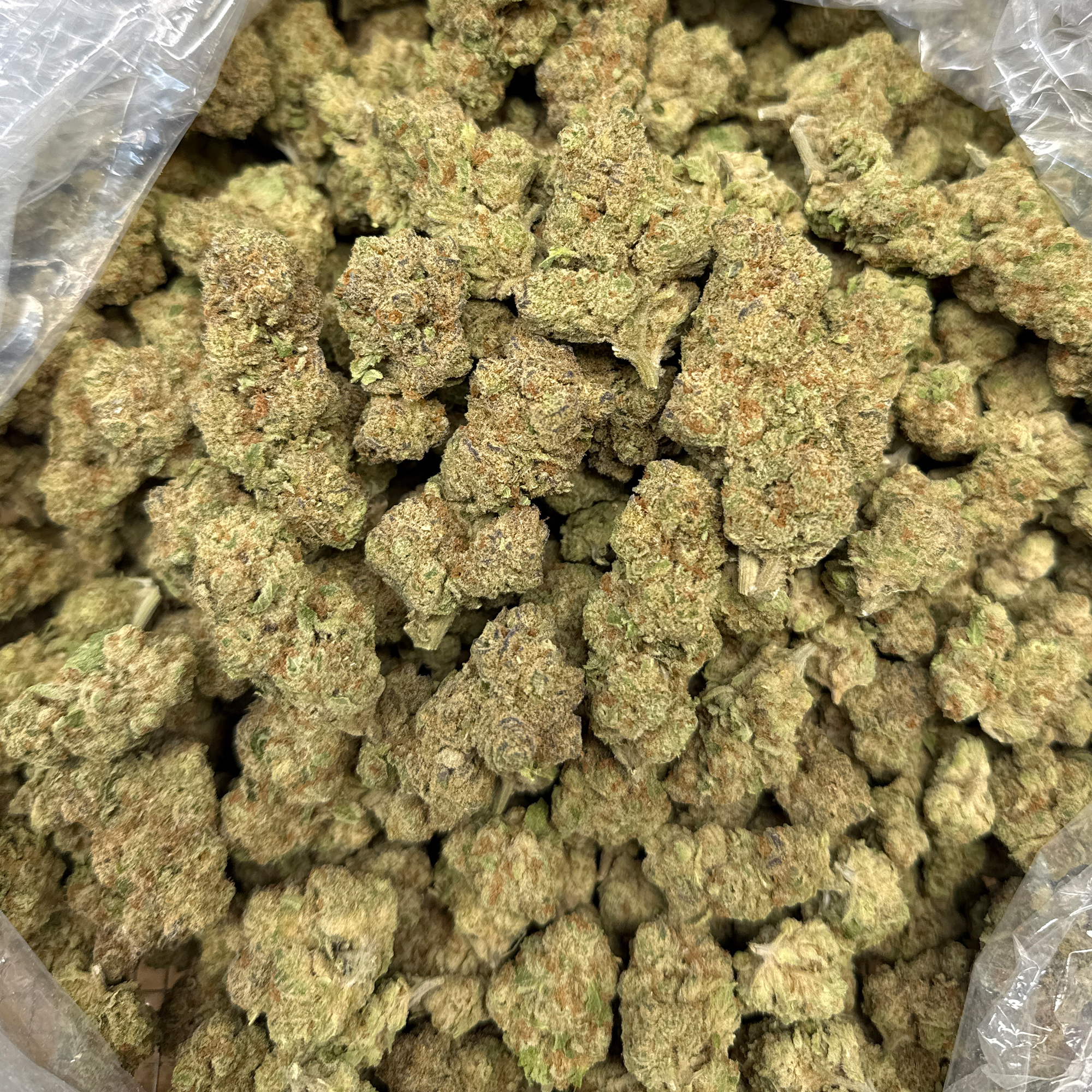 Glitter Bomb Bulk THCA Flower