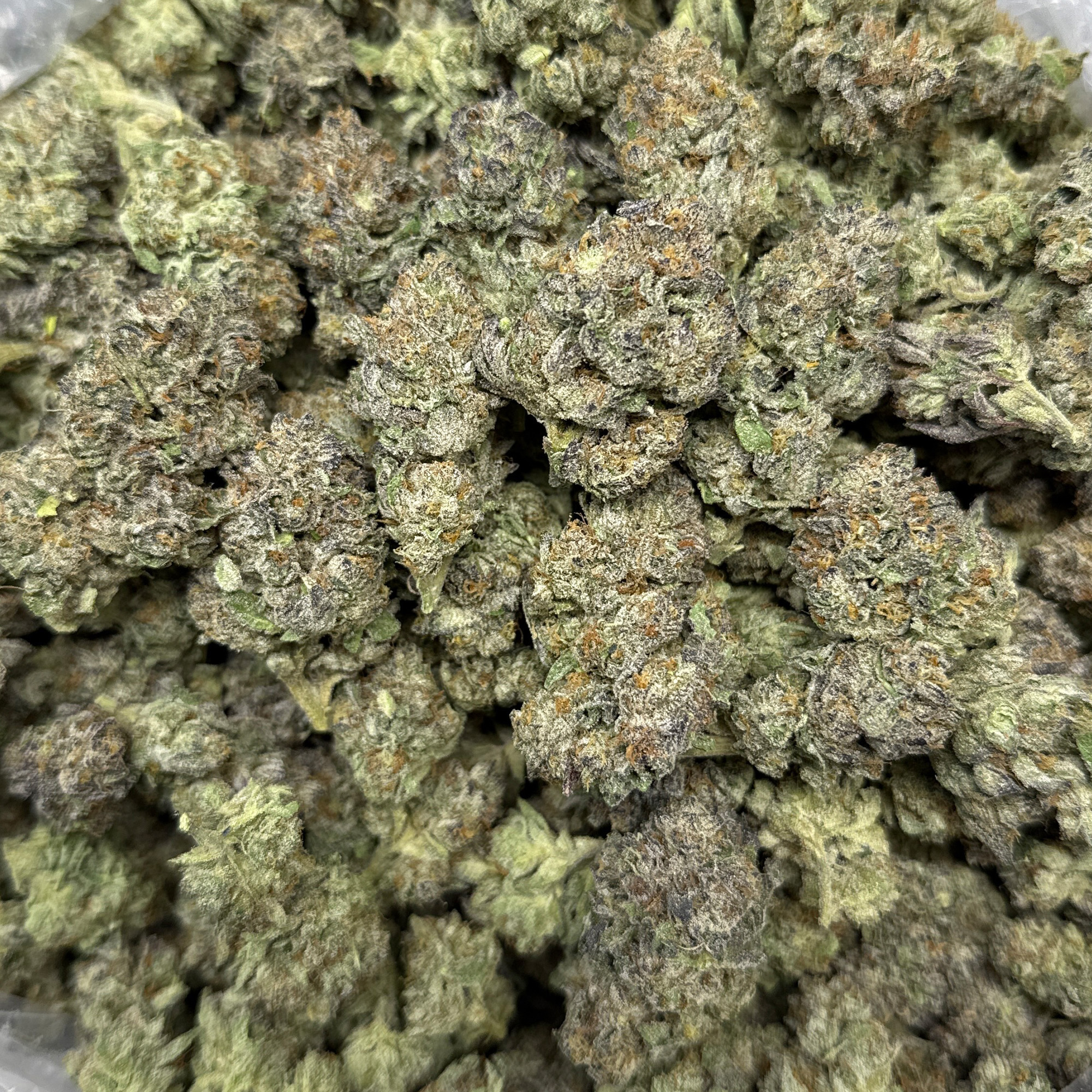 Glitter Bomb THCA Flower Wholesale