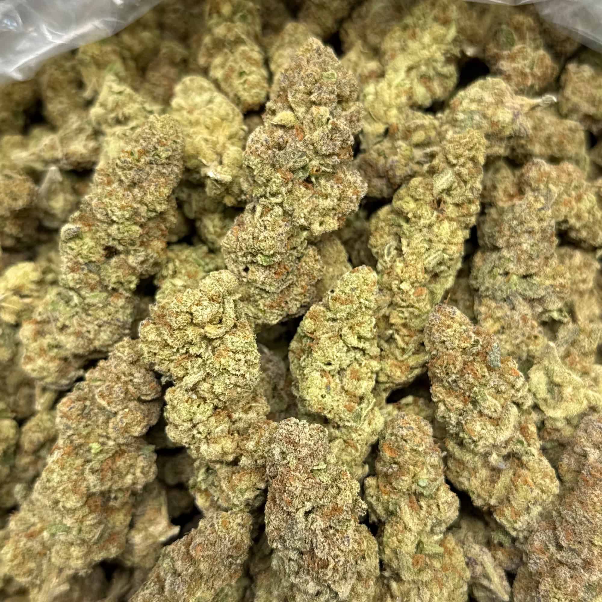 Glitter Bomb THCA Flower Pounds