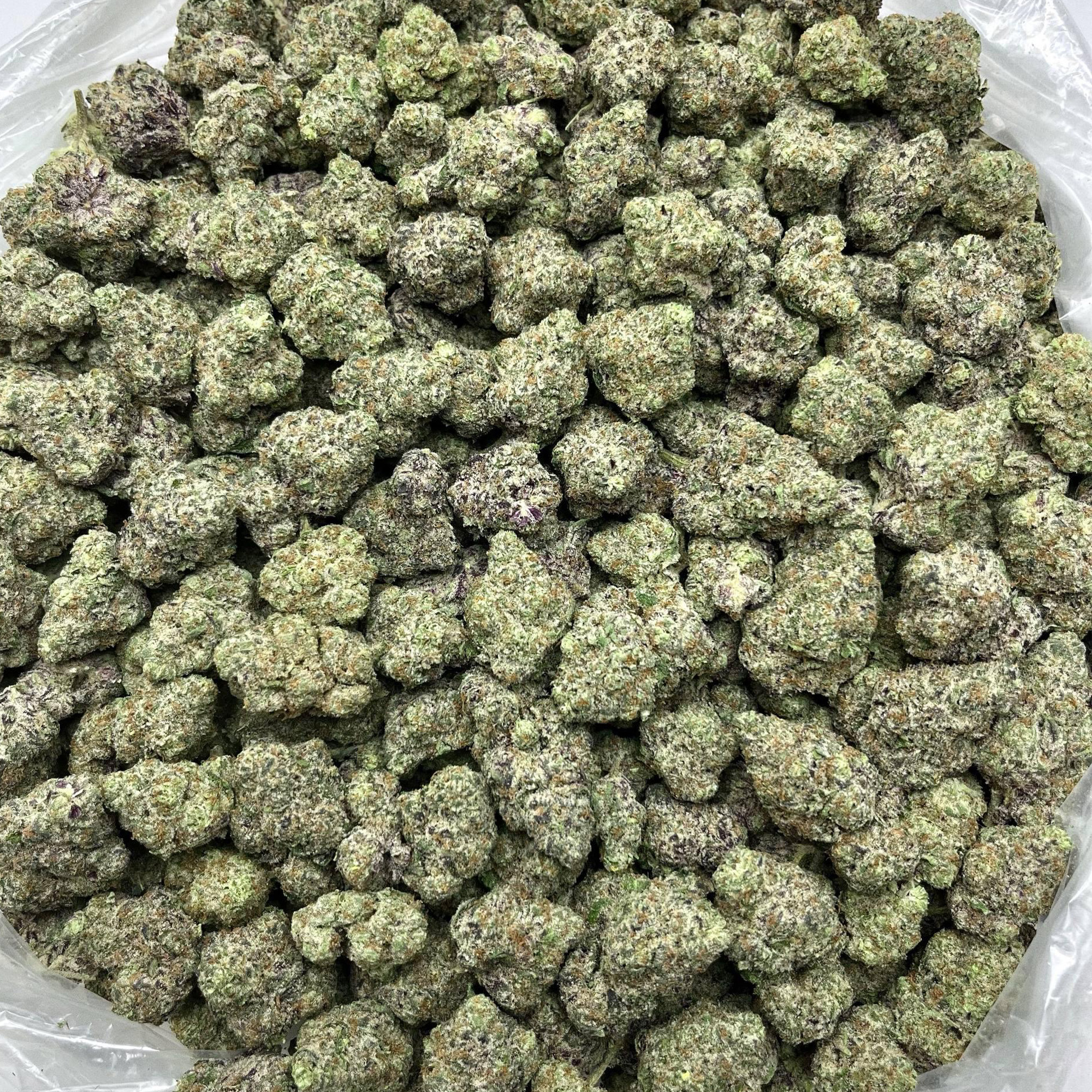 Gushers Wholesale THCA Flower