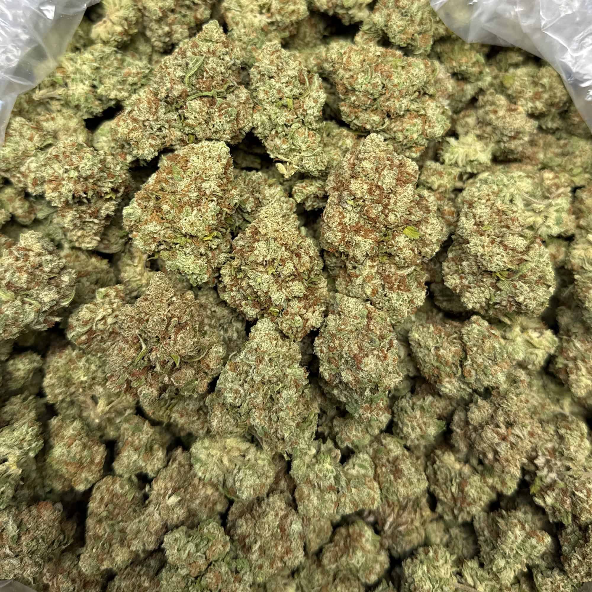 Purple Punch THCA Flower Wholesale