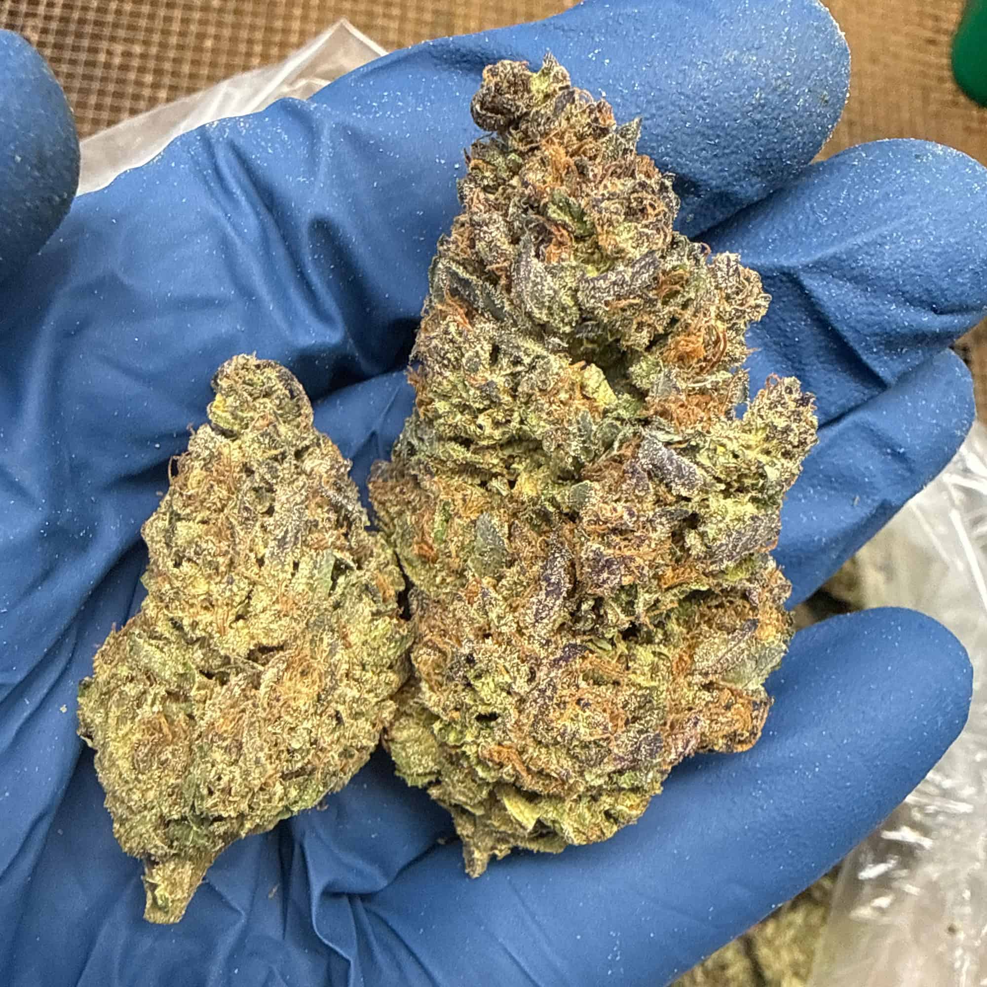 Watermelon Runtz THCA Flower Pounds