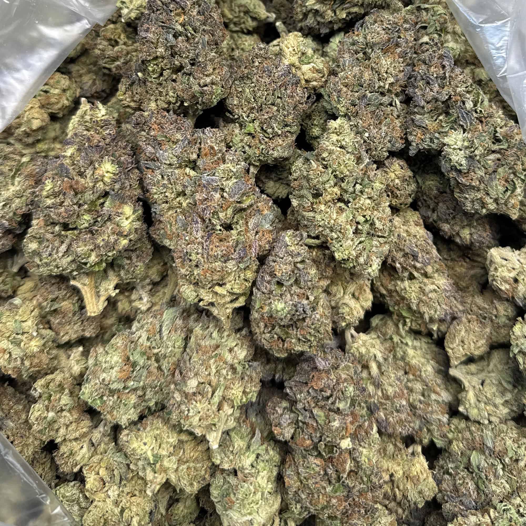 Watermelon Runtz Bulk THCA Flower Pounds