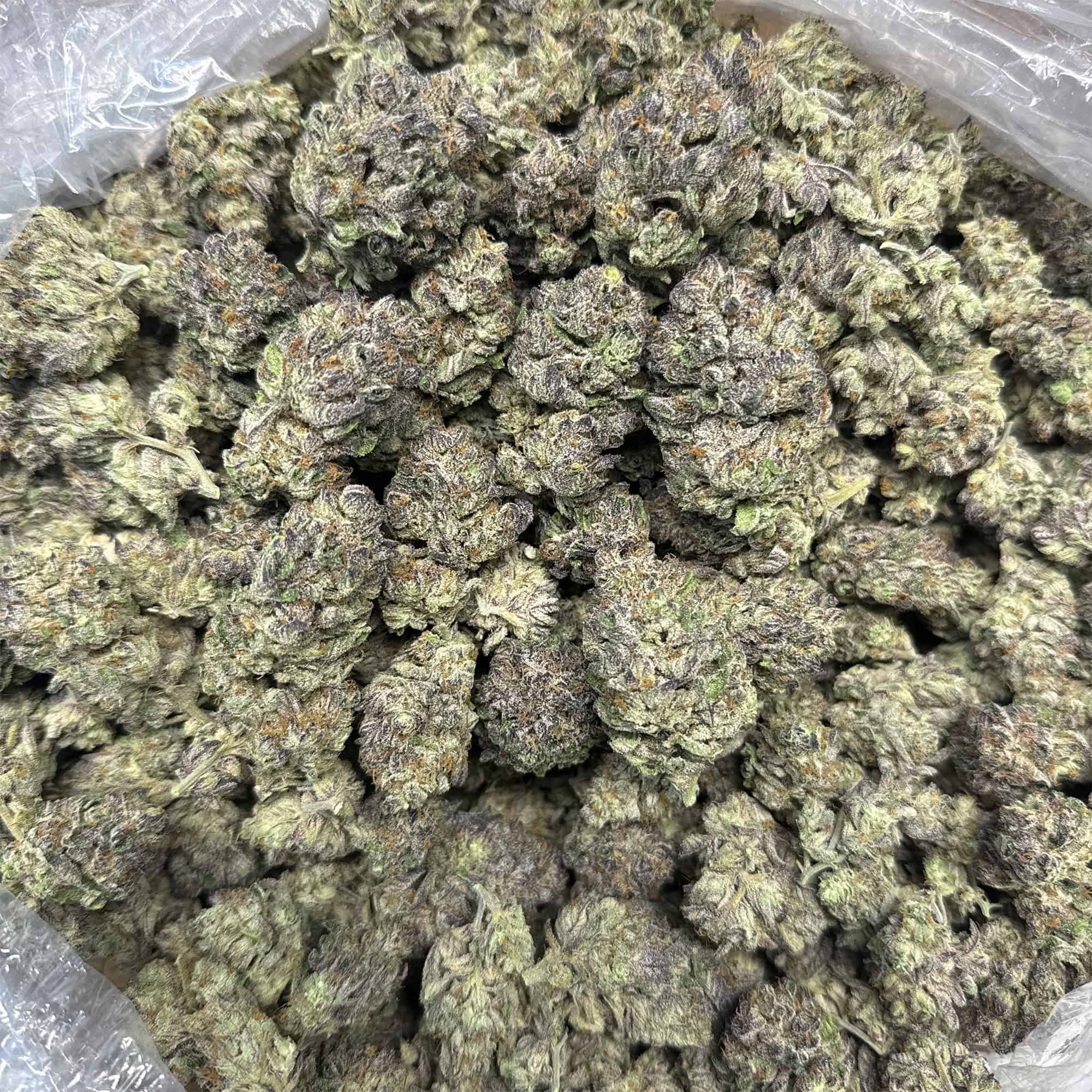 Watermelon Runtz THCA Flower Bulk Pounds