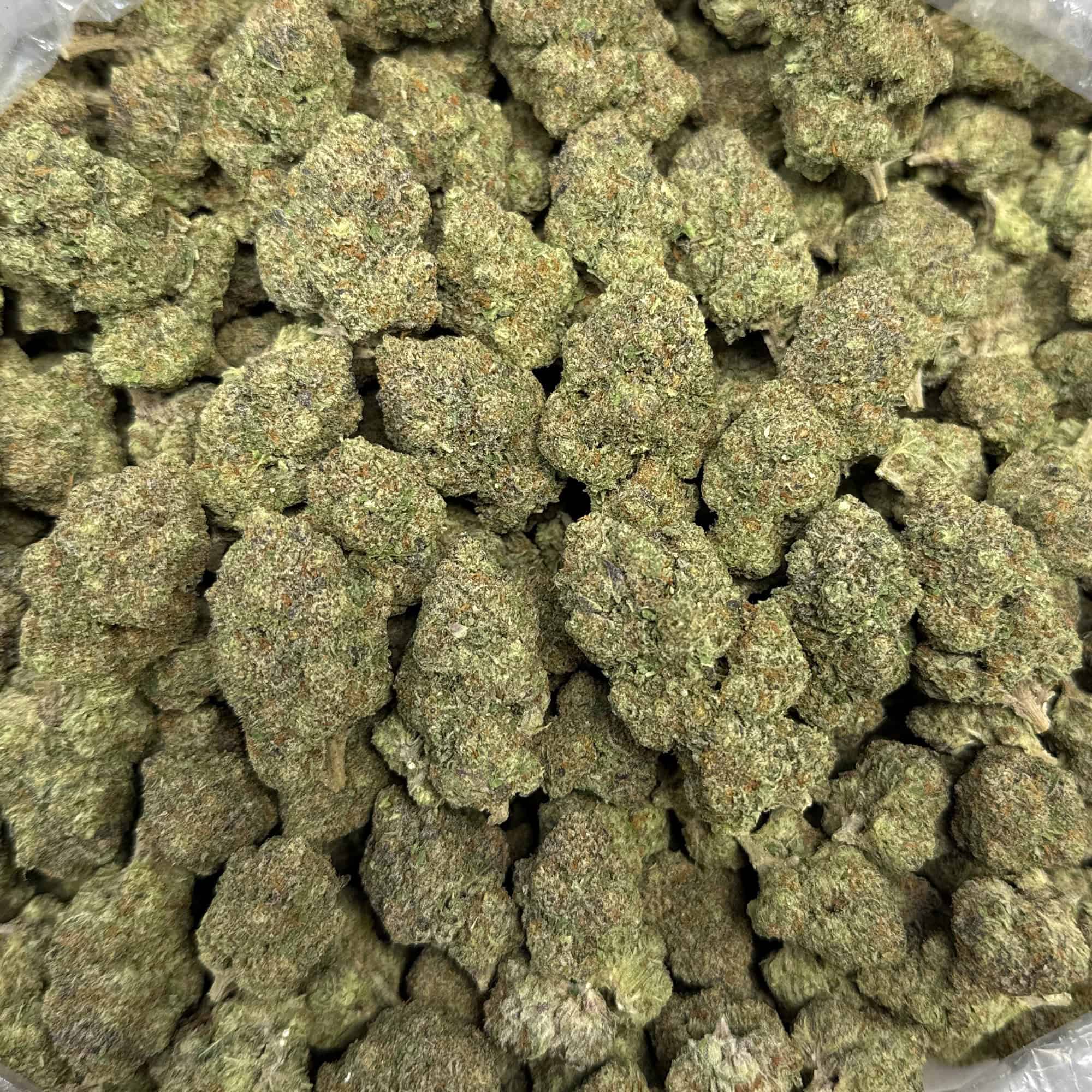 Watermelon Runtz THCA Flower Wholesale