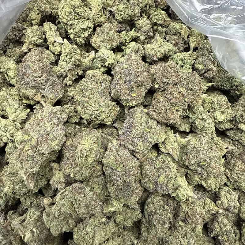 Watermelon Runtz THCA Flower Bulk