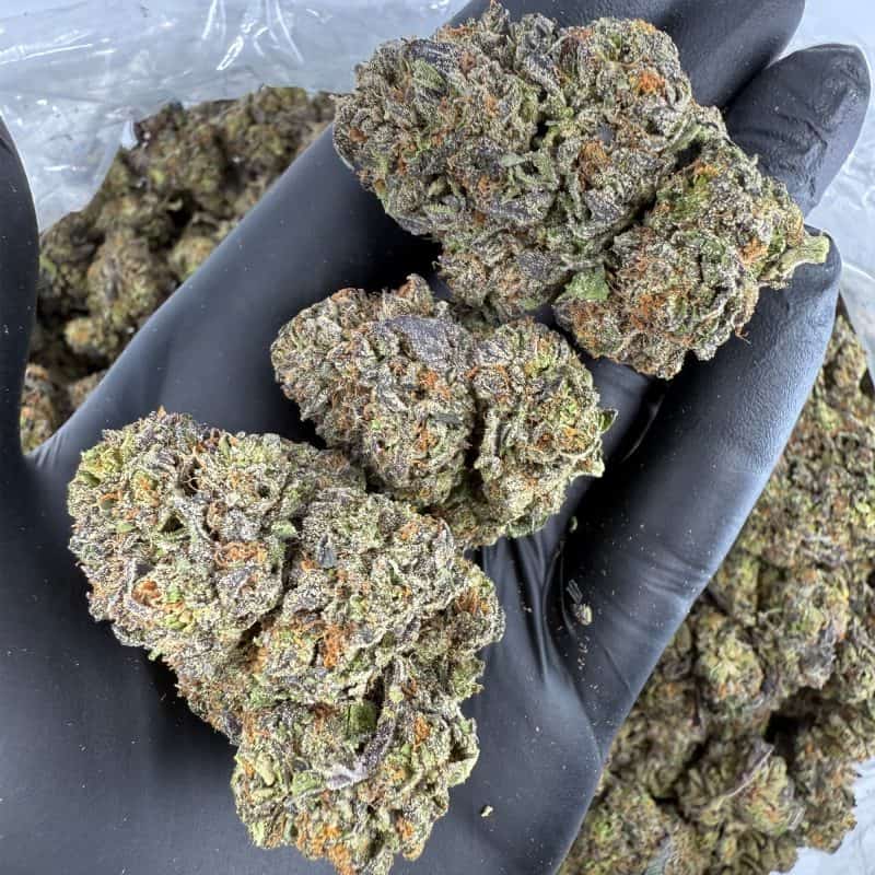Watermelon Runtz Wholesale THCA Pounds
