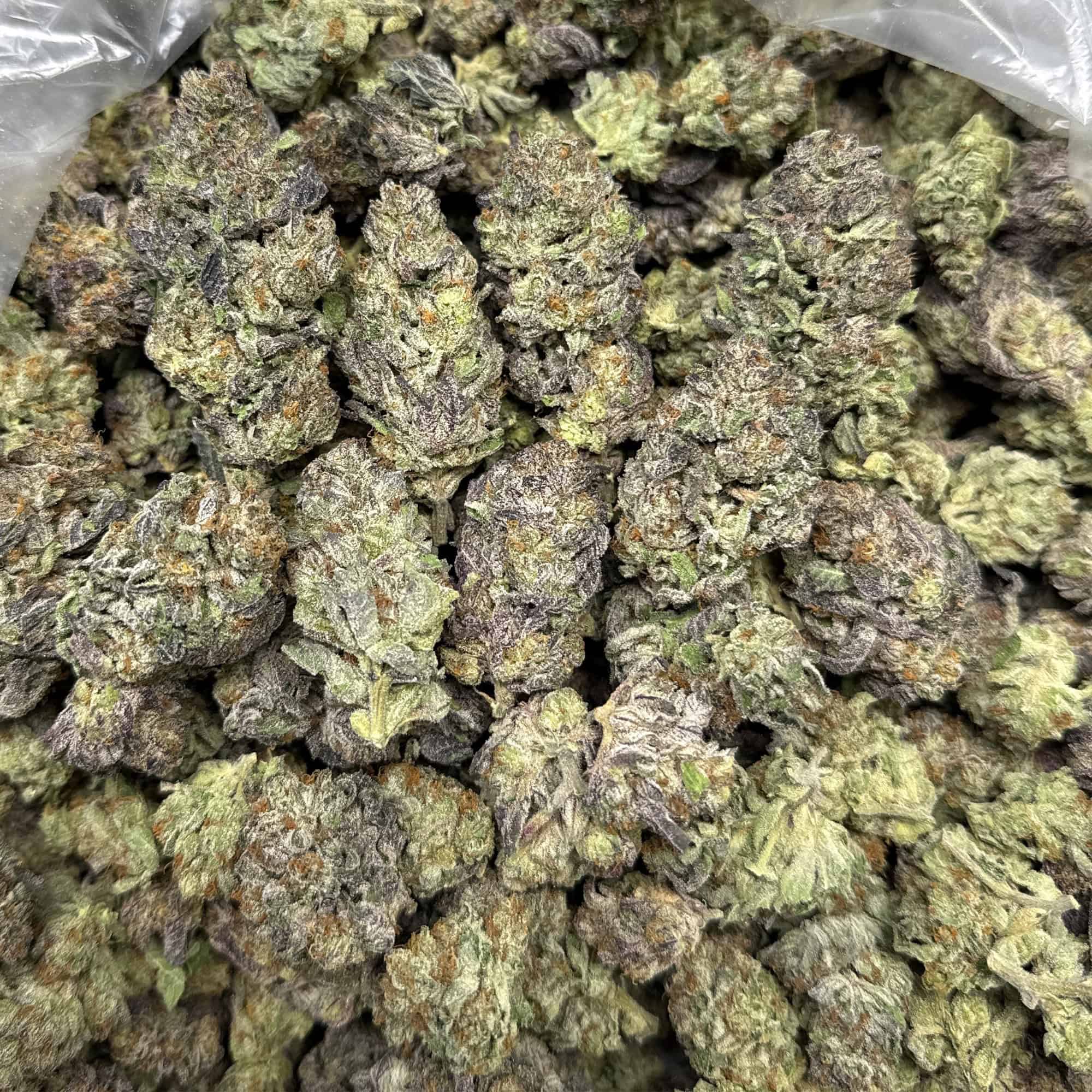 Black Amber THCA Flower Wholesale