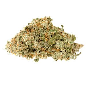 Gelato 41 THCA Flower