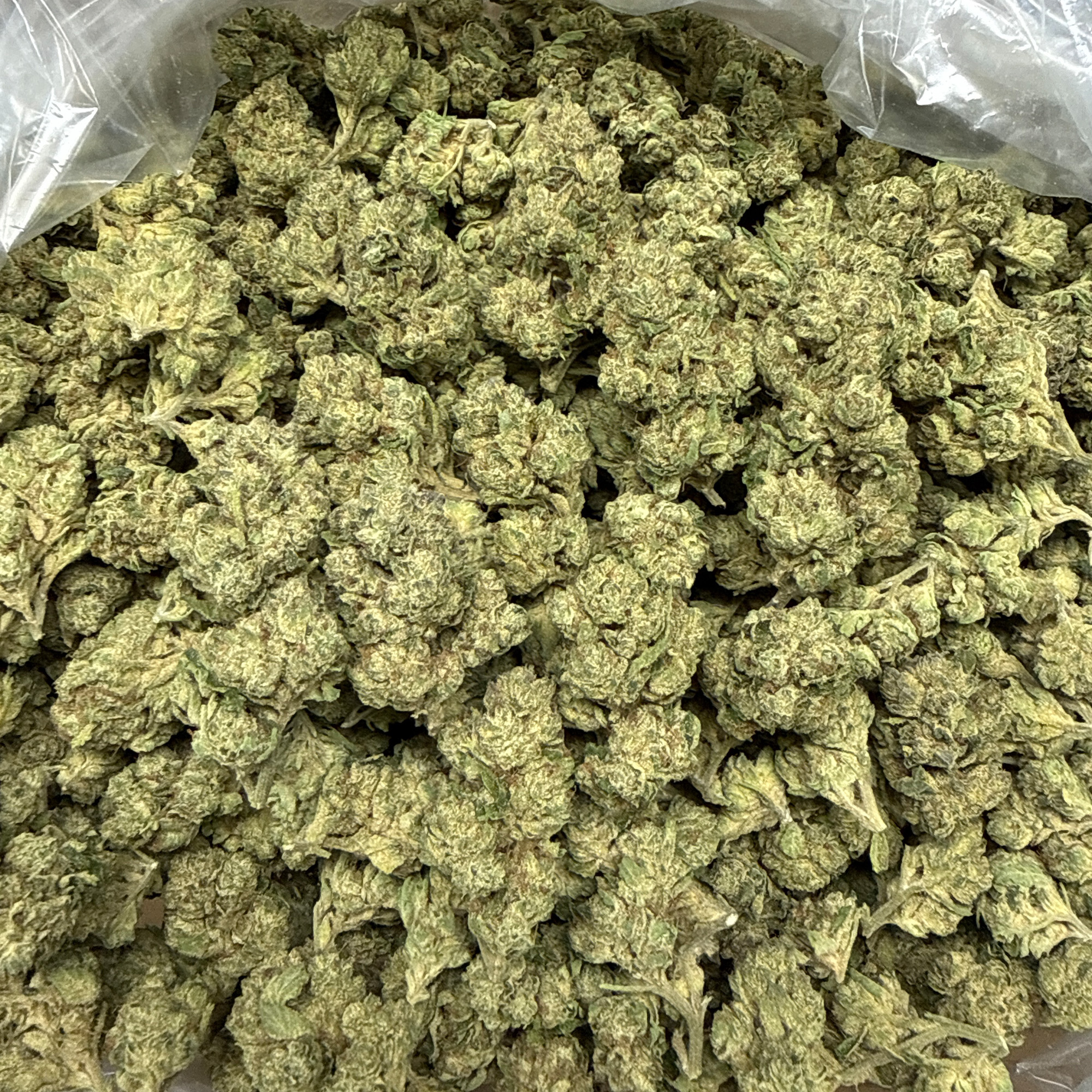 Gelato Punch THCA Flower Bulk Wholesale