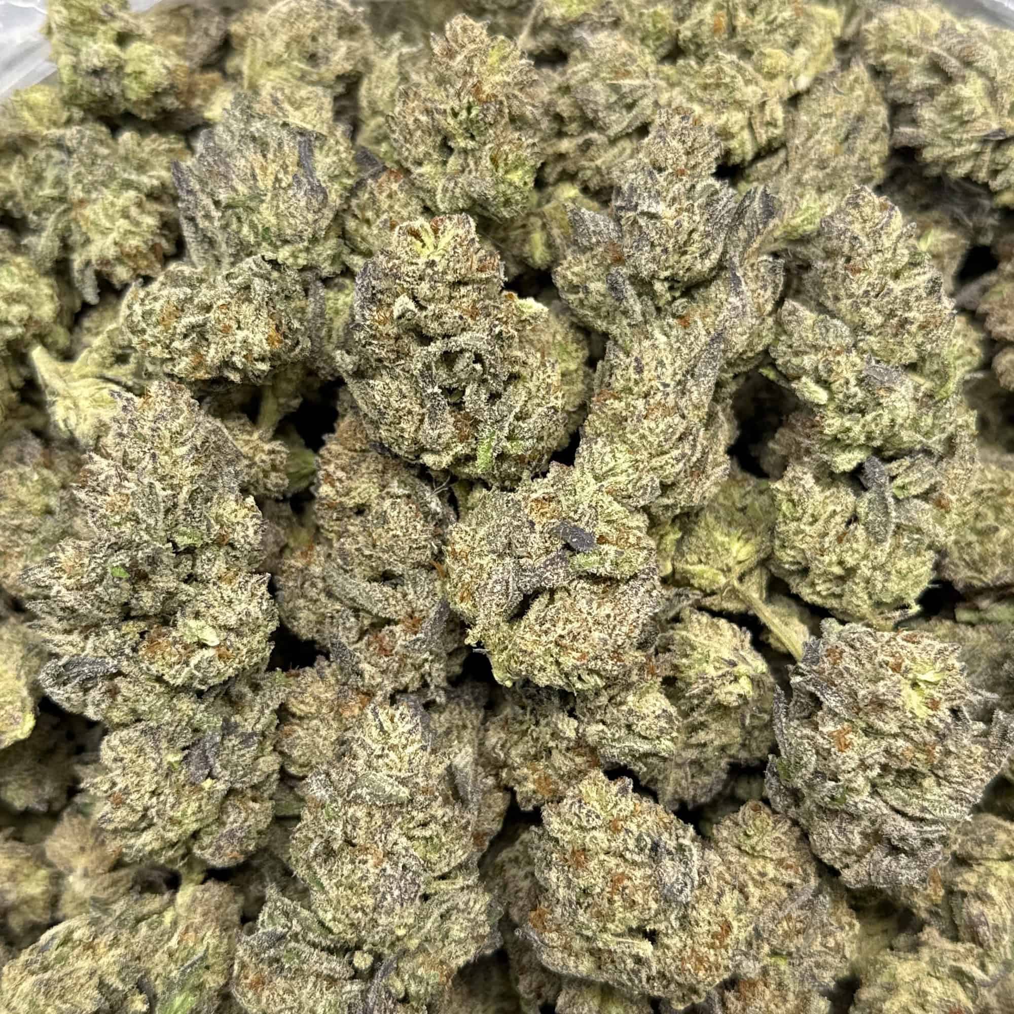 Guava Cookies THCA Flower Wholesale