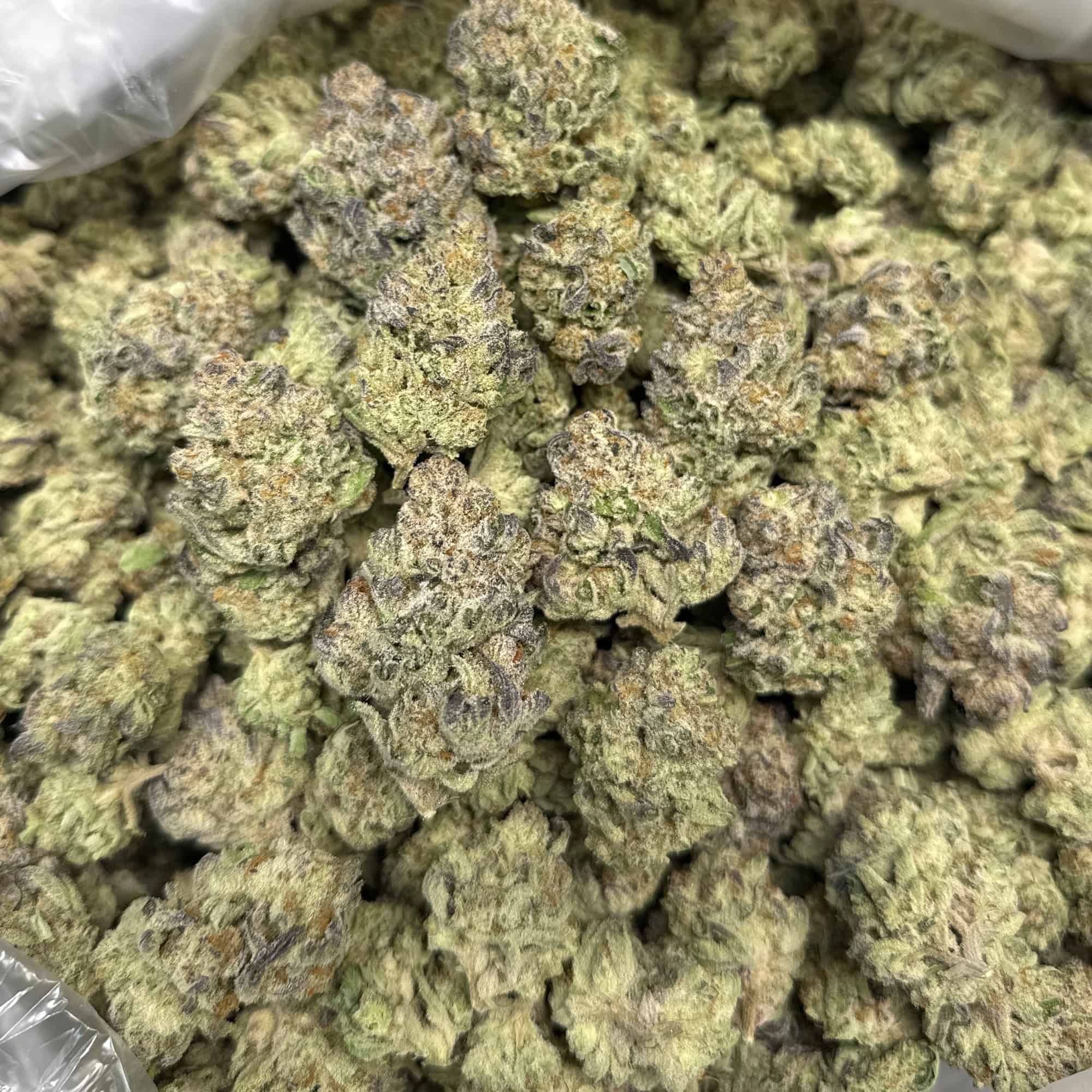 Guava Cookies THCA Flower Pounds
