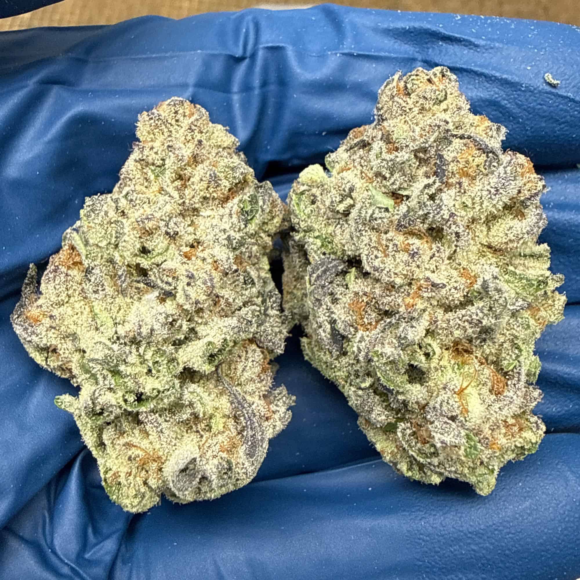 Guava Cookies THCA Flower Wholesale