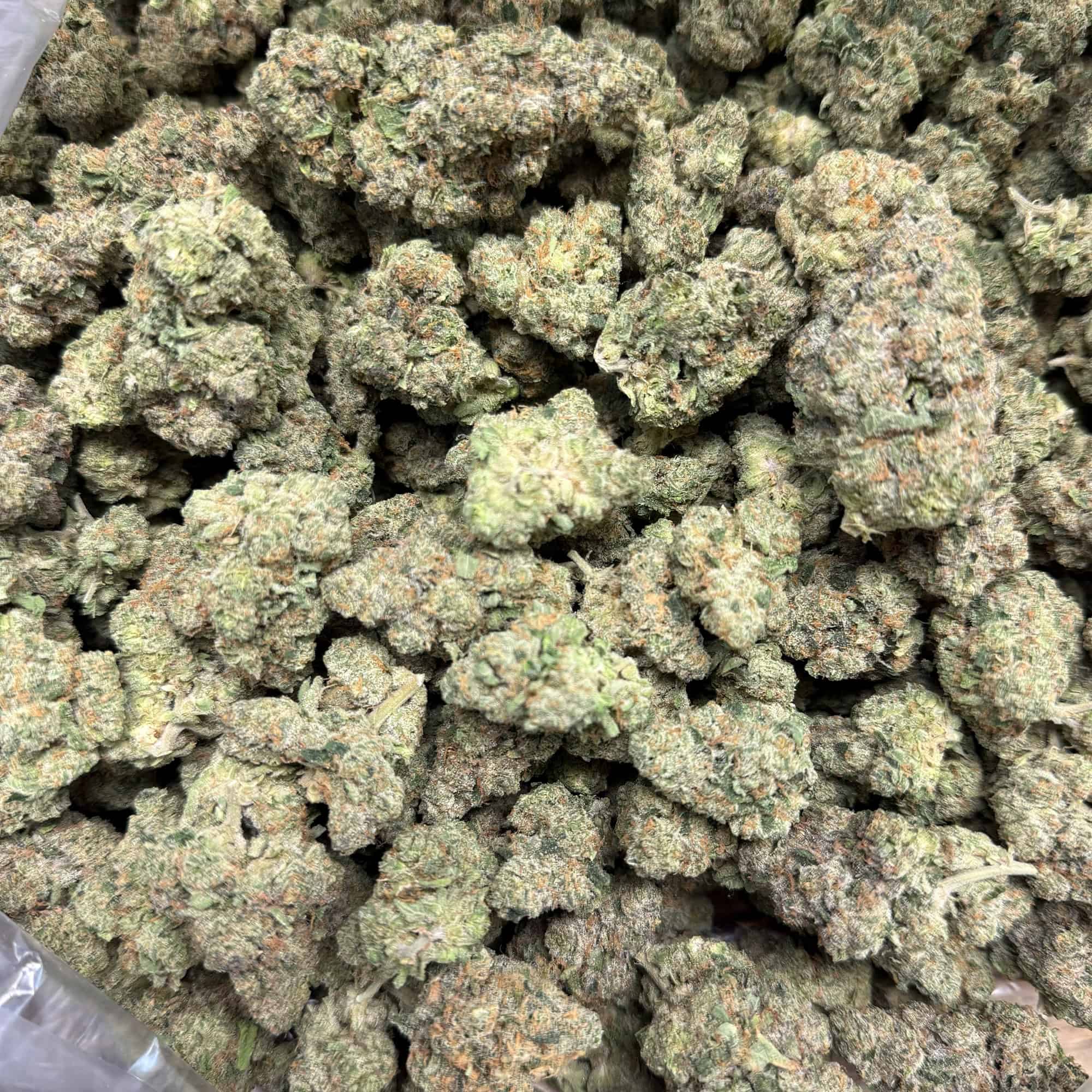 Guava Cookies THCA Flower Bulk Pounds