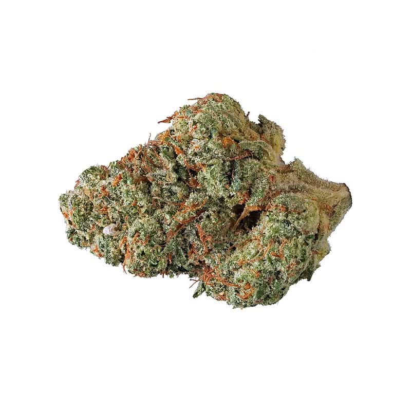 Guava Cookies THCA Flower Pounds