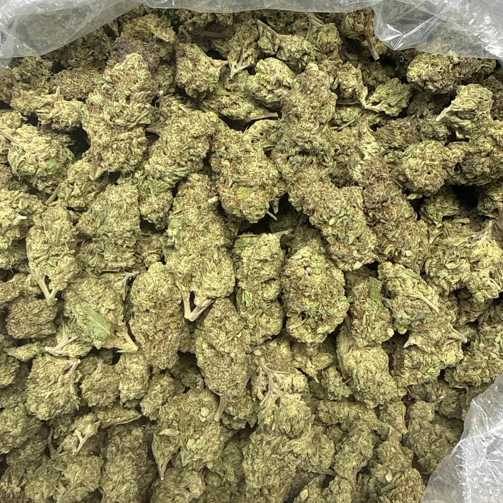 Gush Mintz THCA Flower Pounds