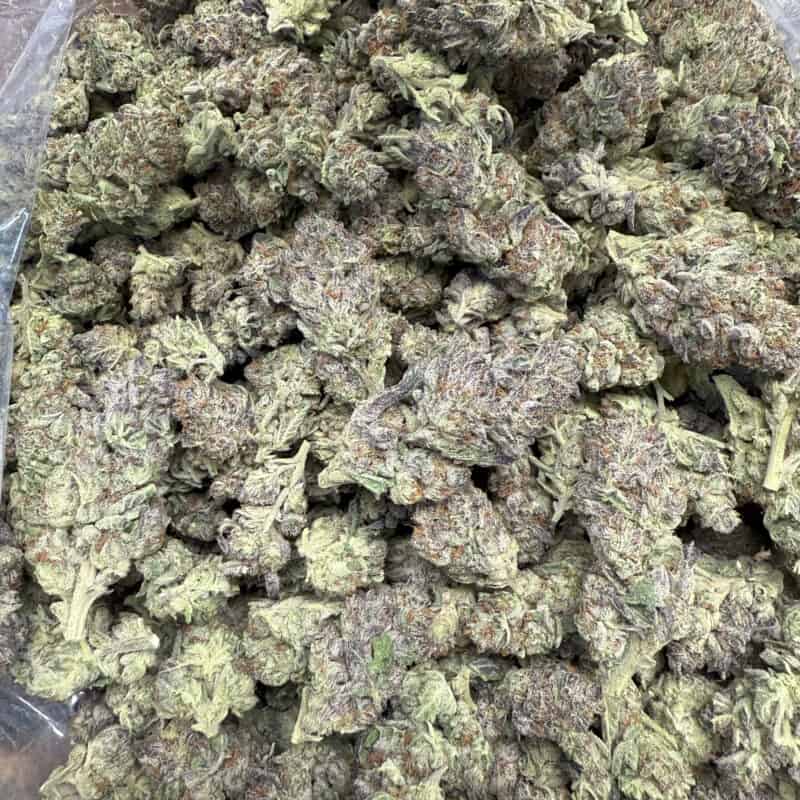 Ice Cream Cake Light Assist THCA Flower