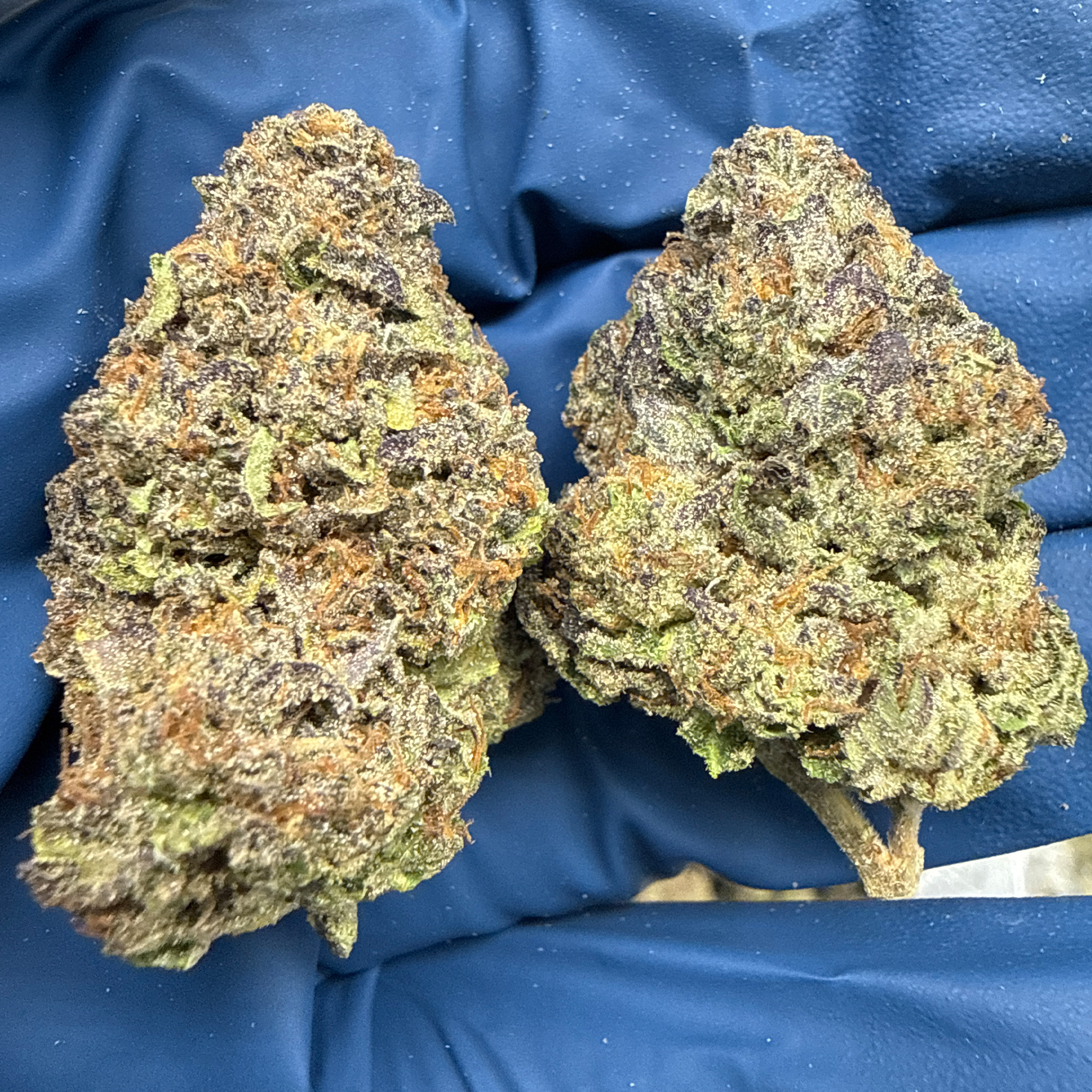 Ice Cream Cale THCA Flower Pounds