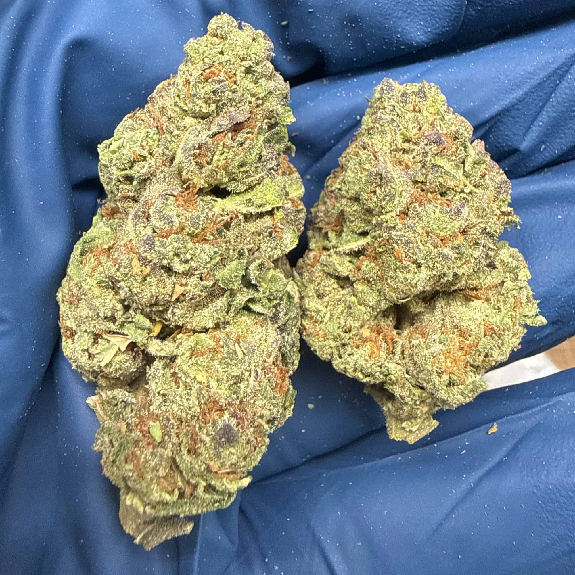 Ice Cream Cake Wholesale THCA Flower