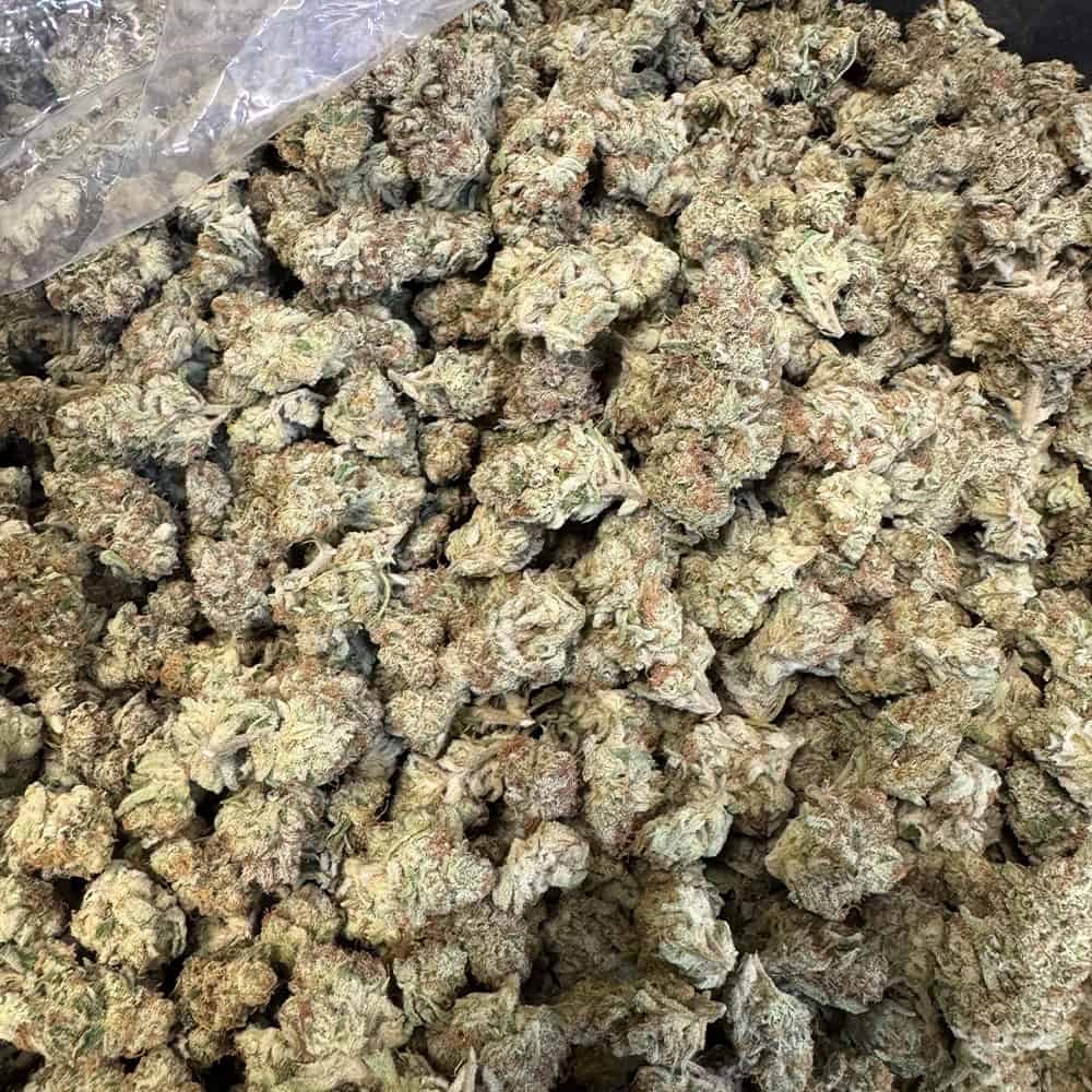 Ice Cream Cake THCA Flower Pounds Cheap THCA Flower LBS.