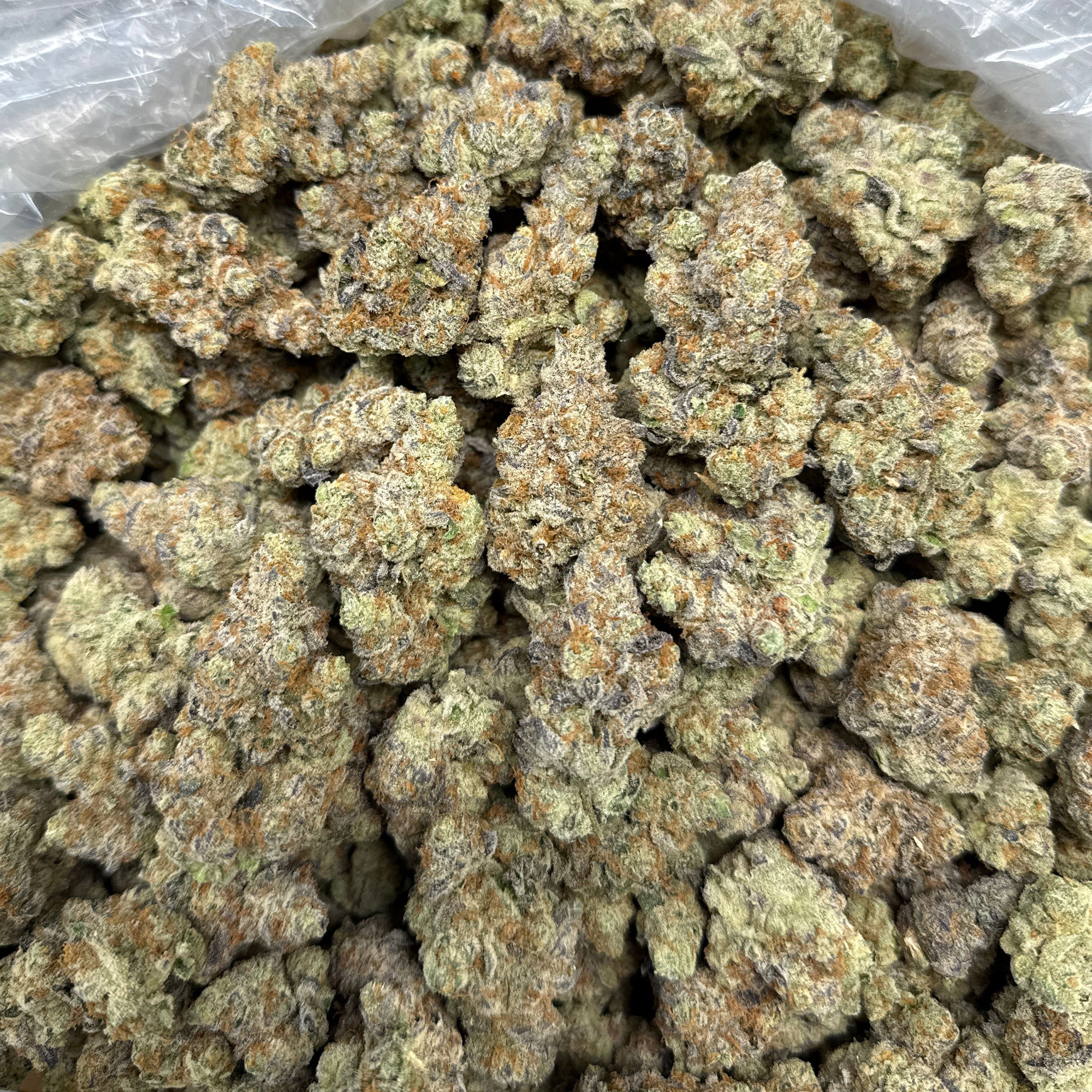 Pandemic Punch THCA Flower Bulk
